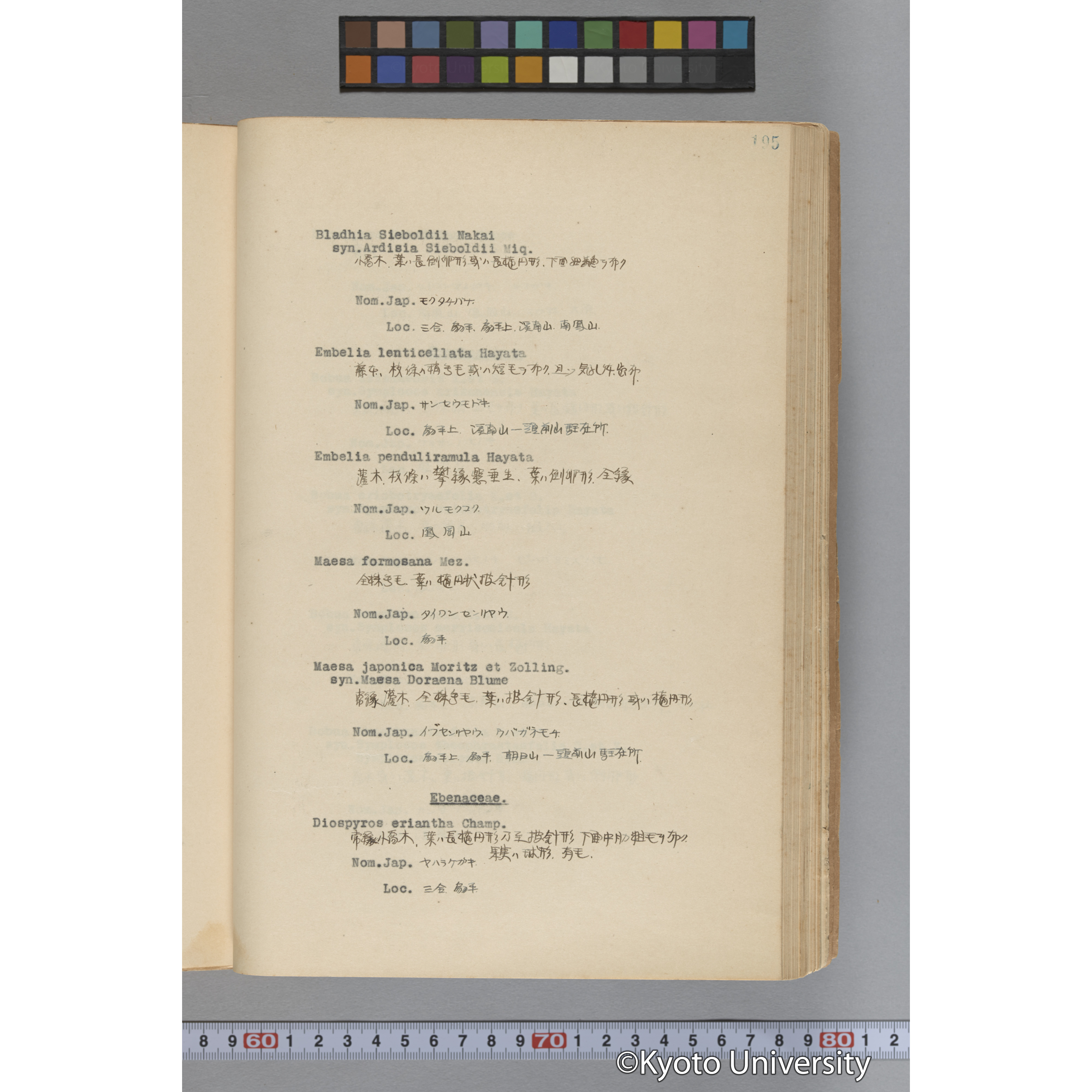 台湾演習林植物調査報告. 第一予報. 1931 植物調査班 (242)