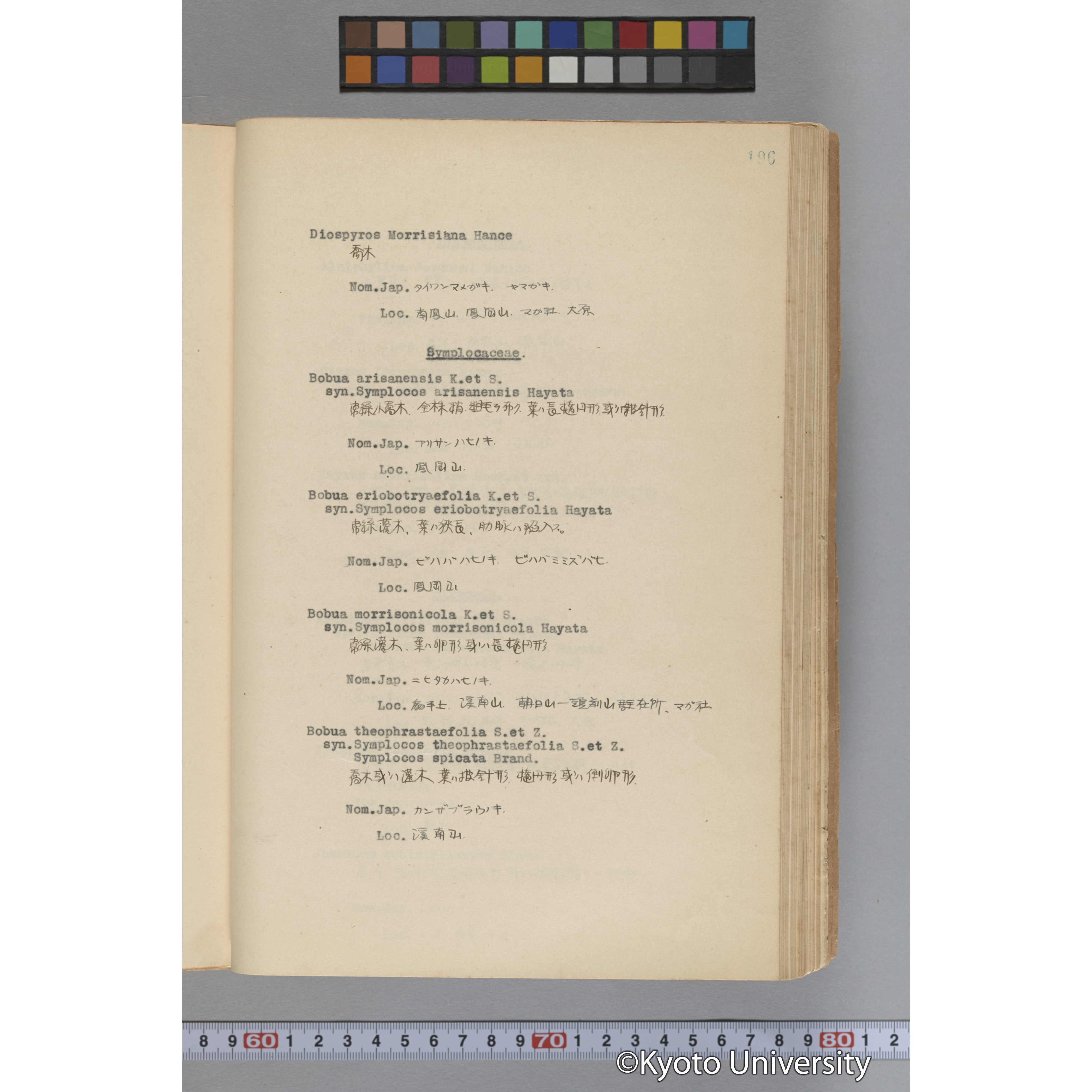 台湾演習林植物調査報告. 第一予報. 1931 植物調査班 (243)