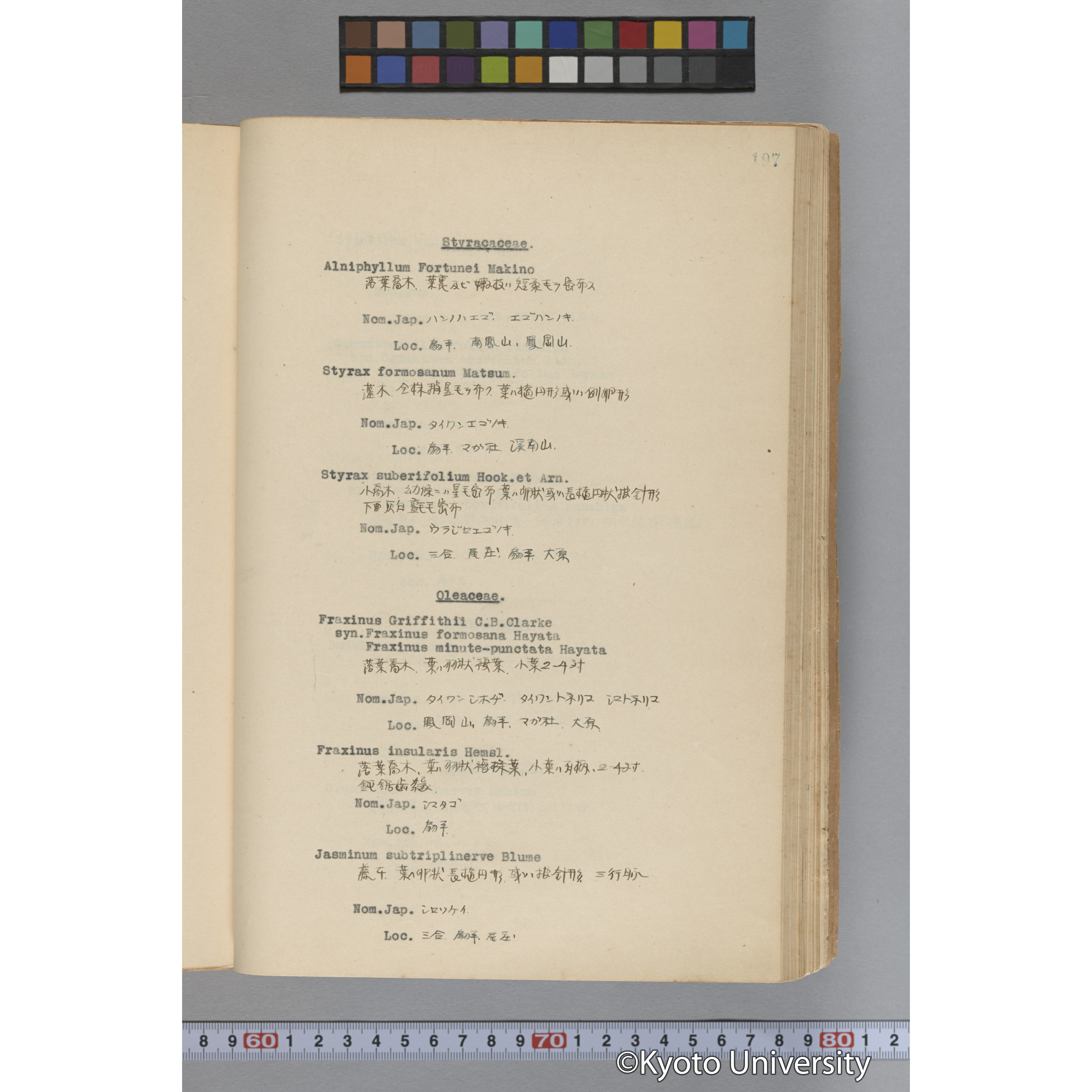 台湾演習林植物調査報告. 第一予報. 1931 植物調査班 (244)