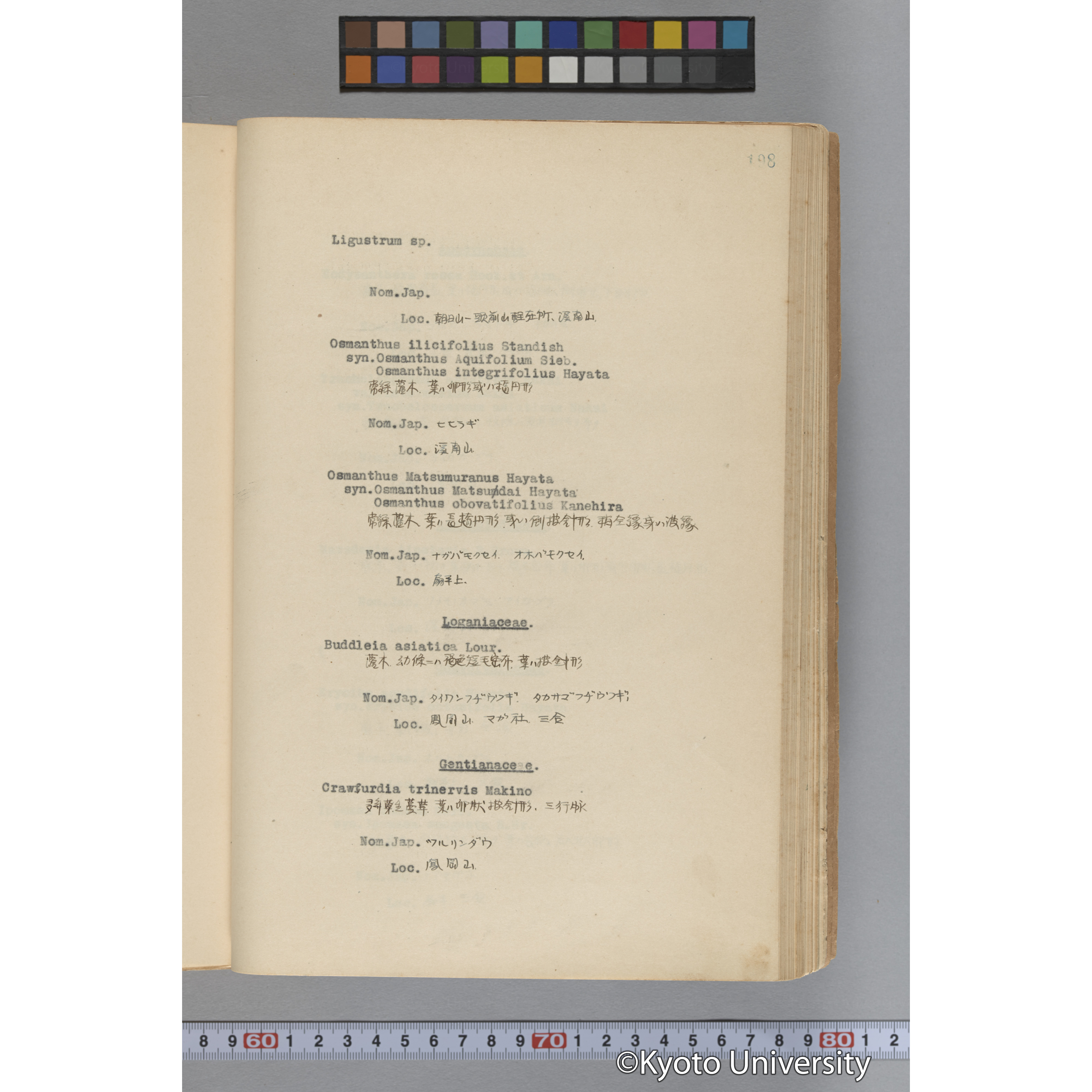 台湾演習林植物調査報告. 第一予報. 1931 植物調査班 (245)