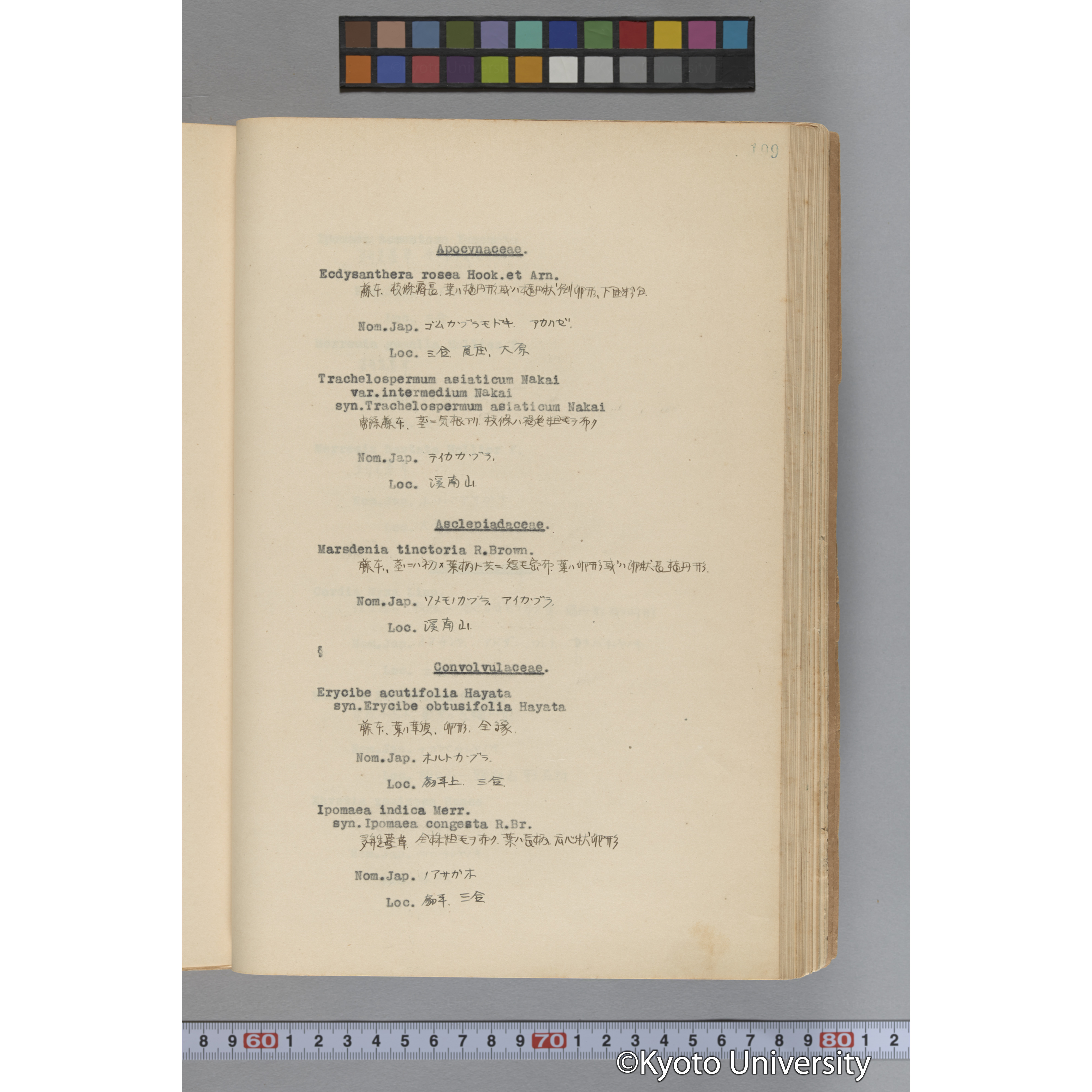 台湾演習林植物調査報告. 第一予報. 1931 植物調査班 (246)