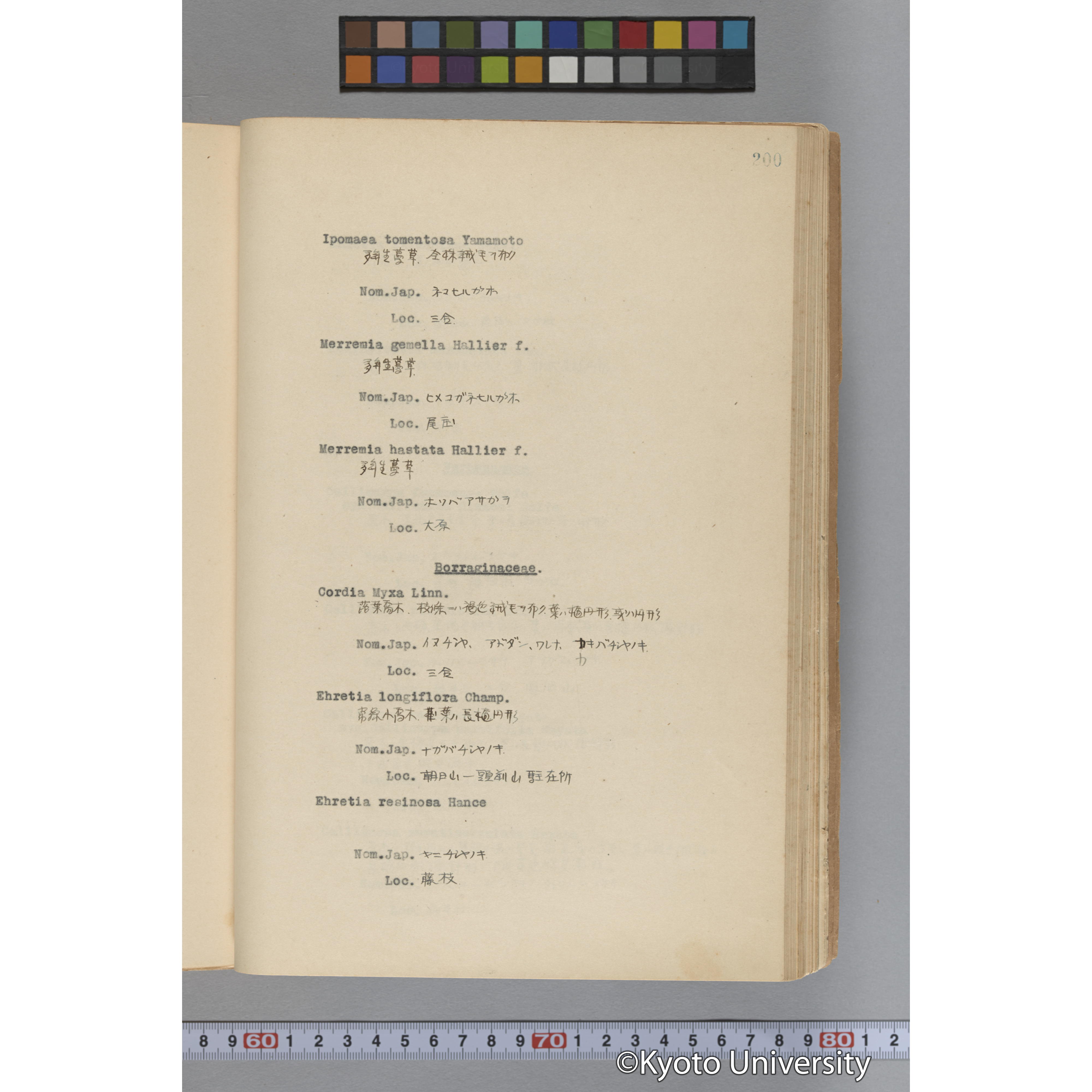 台湾演習林植物調査報告. 第一予報. 1931 植物調査班 (247)