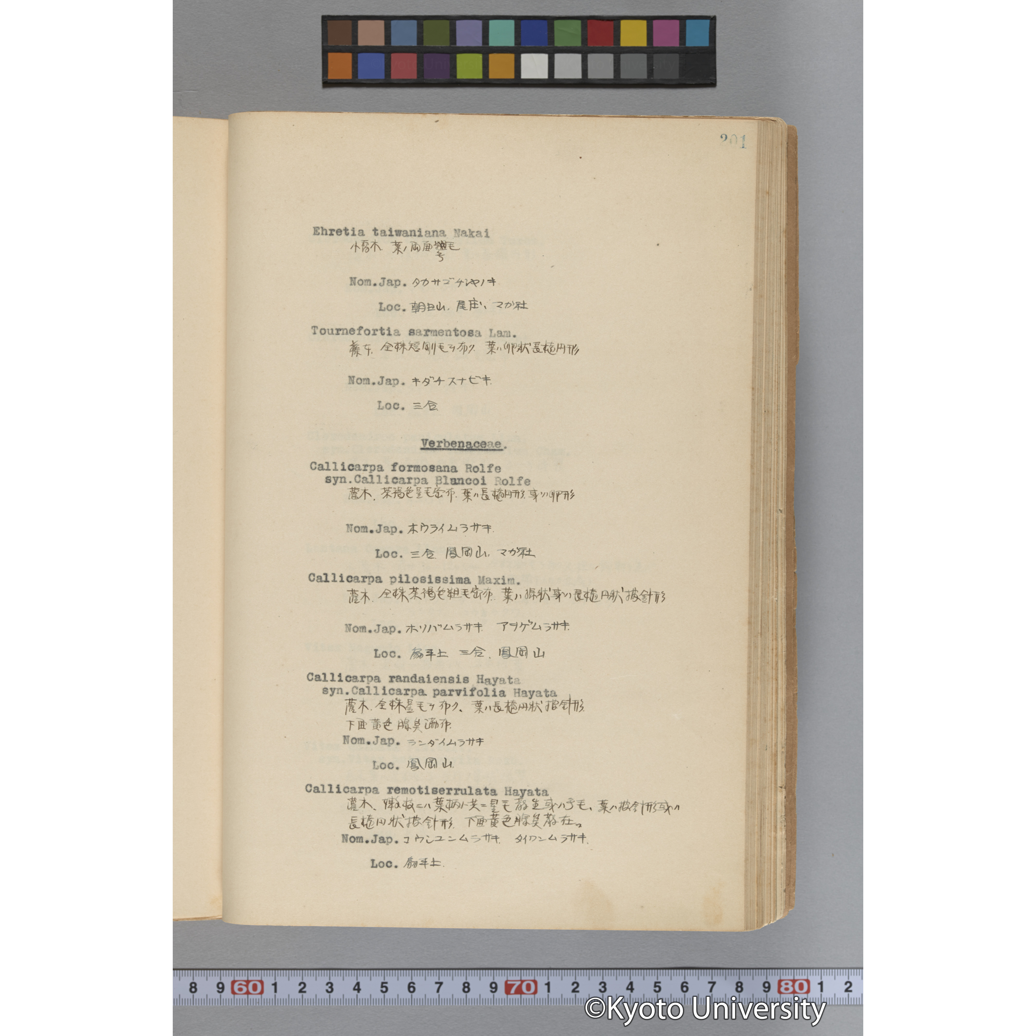 台湾演習林植物調査報告. 第一予報. 1931 植物調査班 (248)