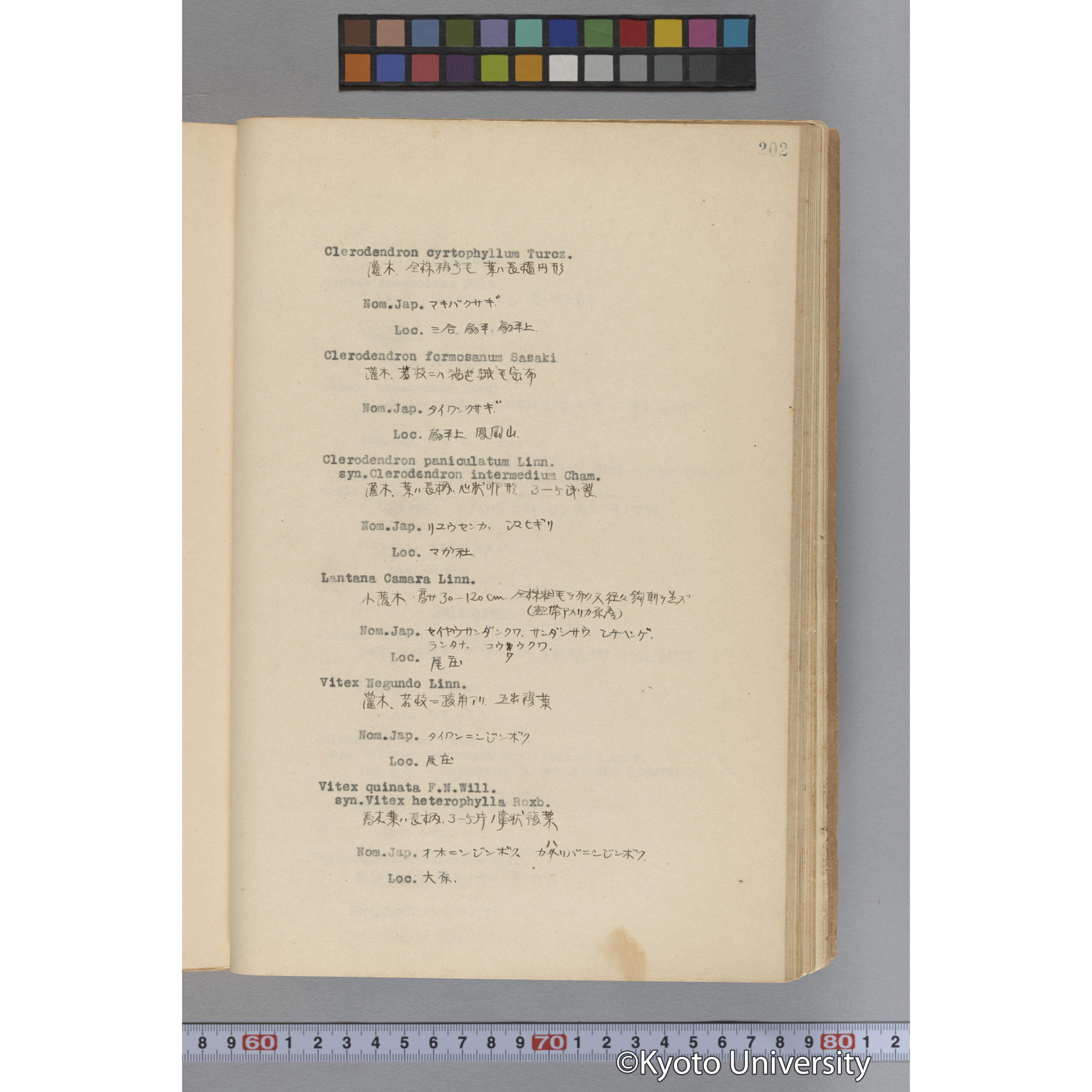 台湾演習林植物調査報告. 第一予報. 1931 植物調査班 (249)