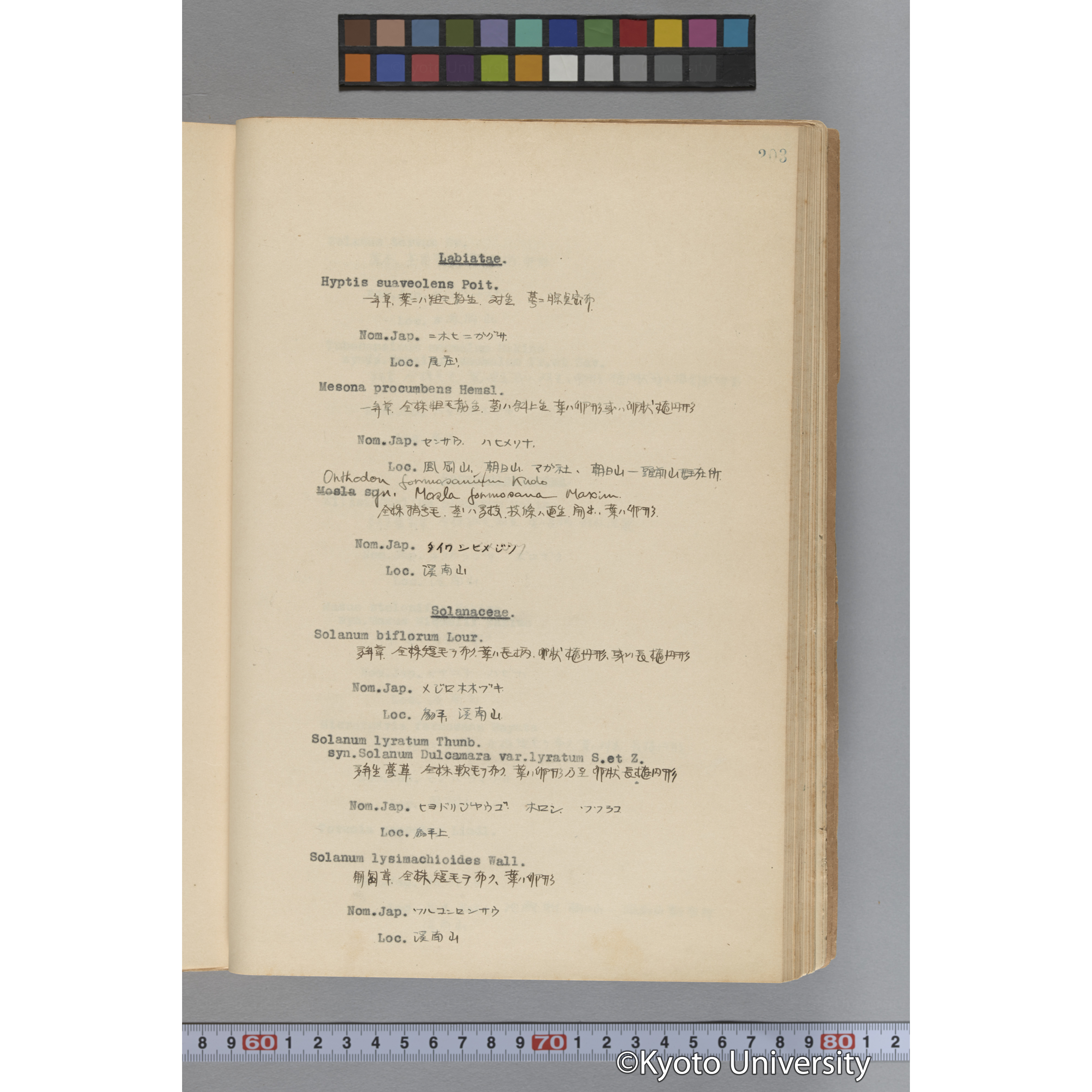 台湾演習林植物調査報告. 第一予報. 1931 植物調査班 (250)