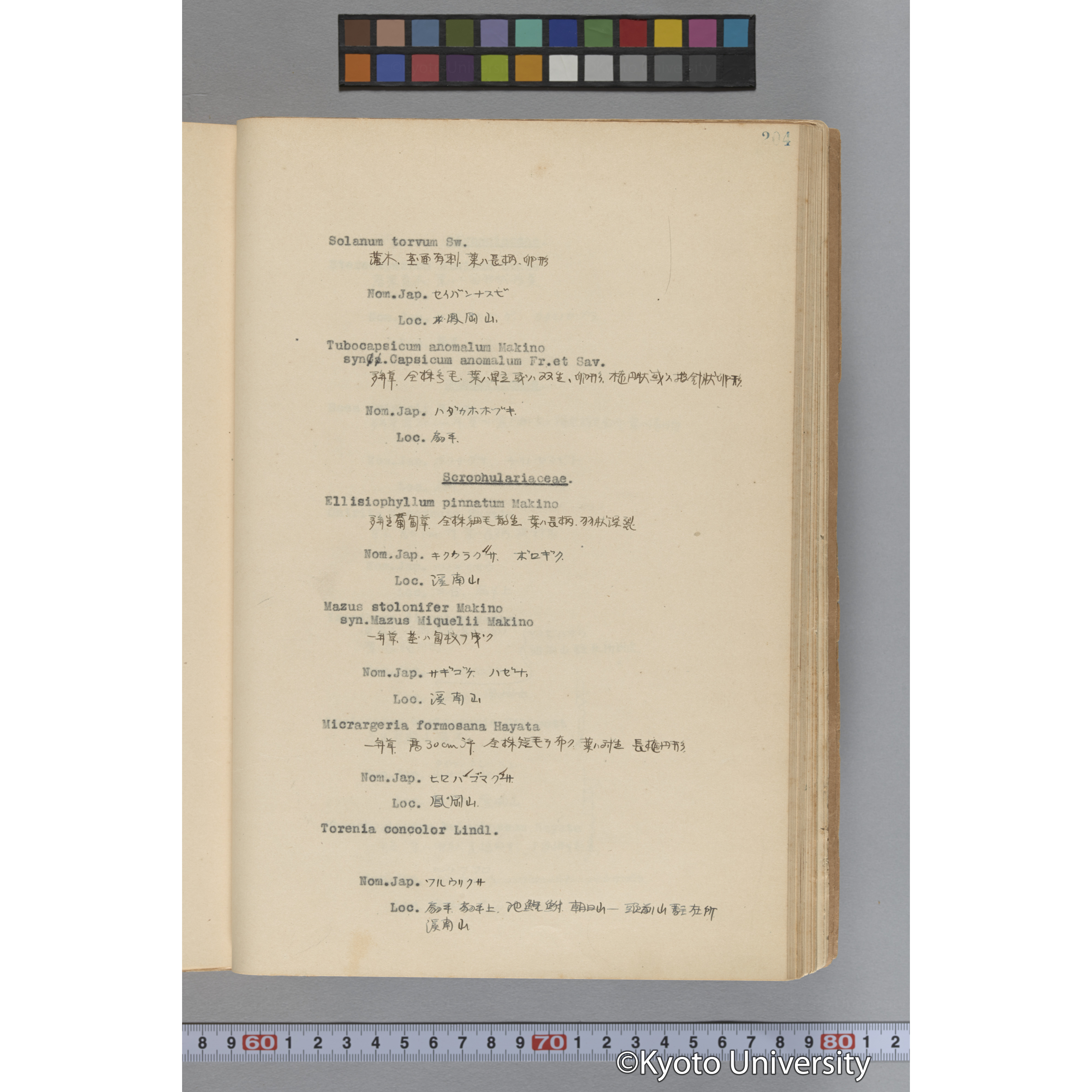 台湾演習林植物調査報告. 第一予報. 1931 植物調査班 (251)