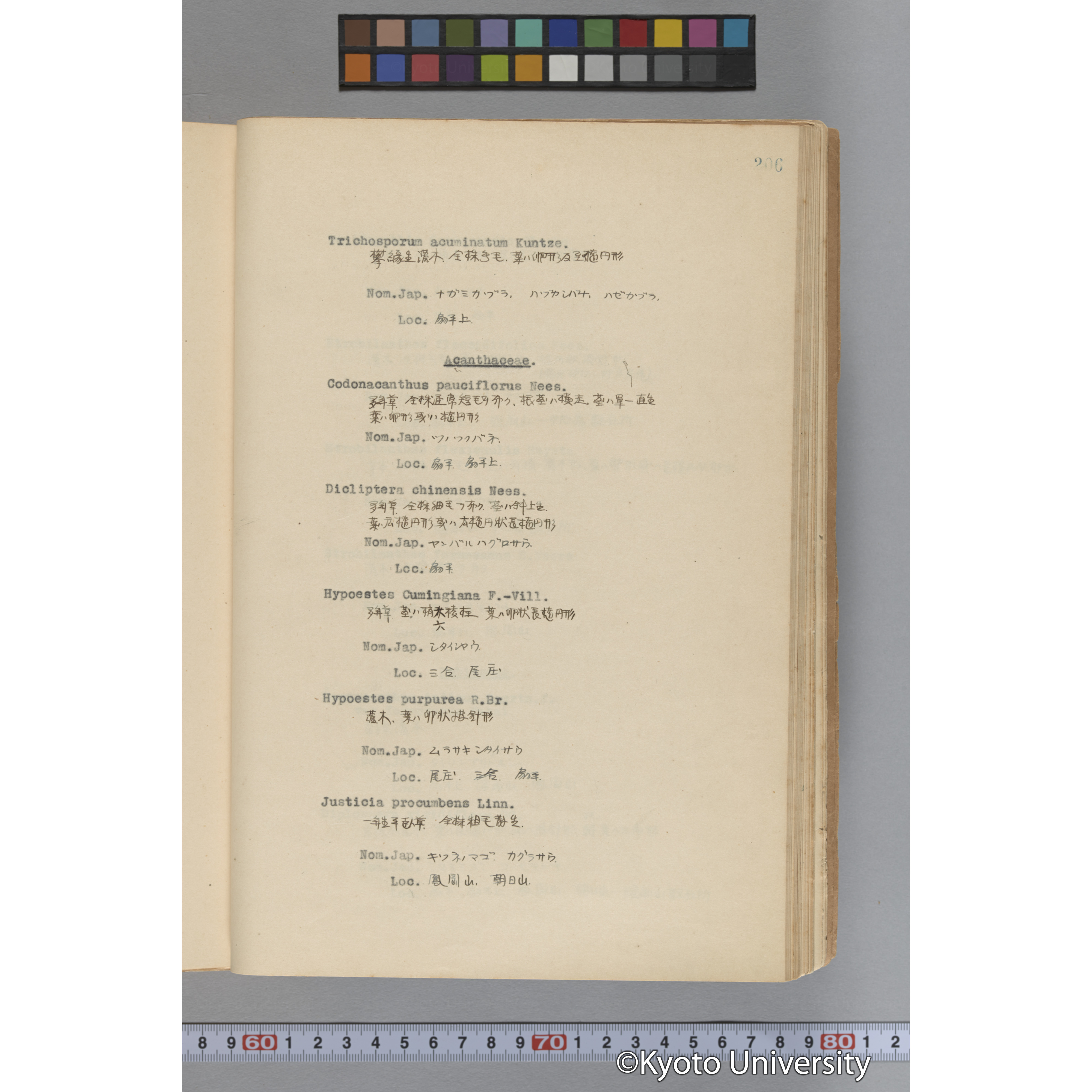 台湾演習林植物調査報告. 第一予報. 1931 植物調査班 (253)