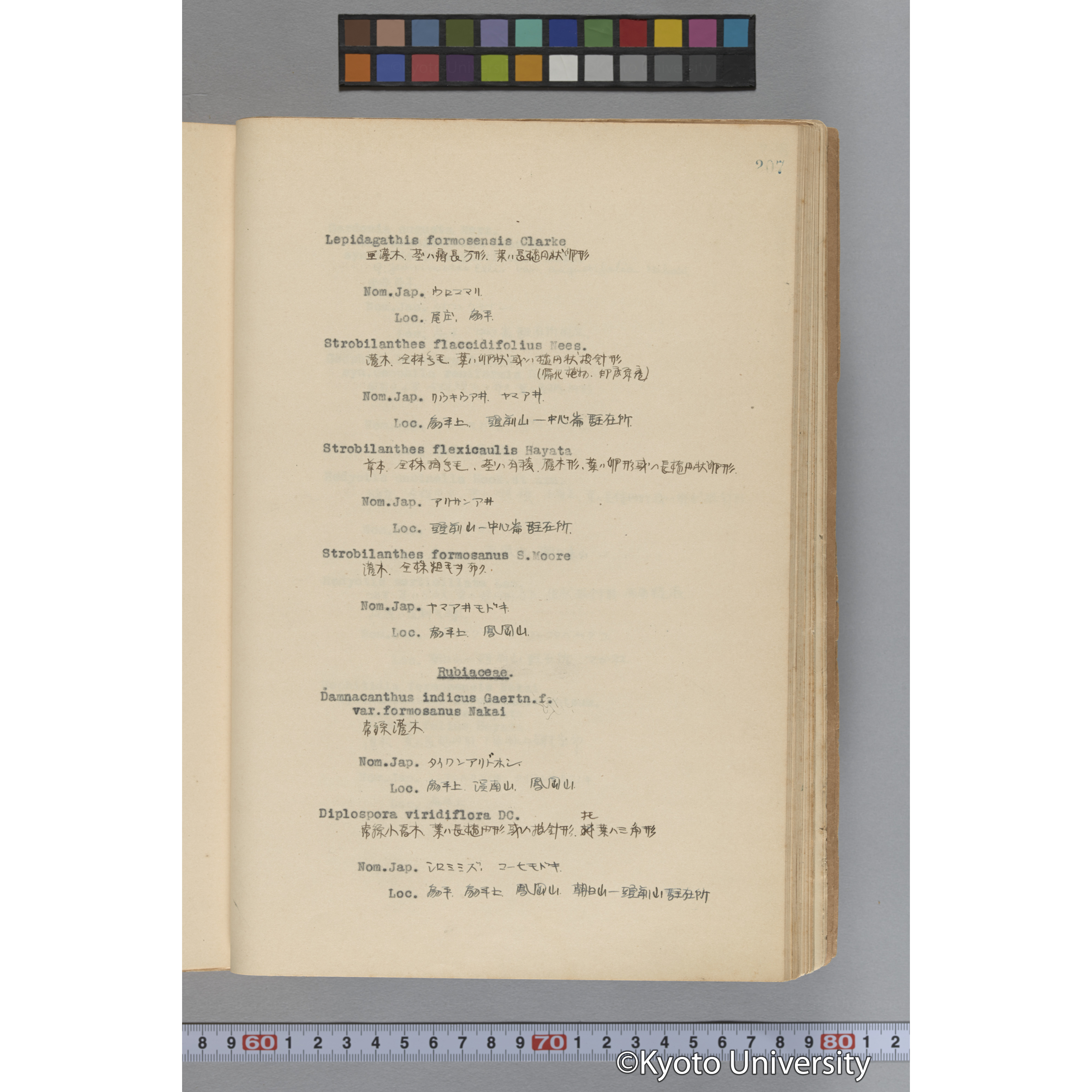 台湾演習林植物調査報告. 第一予報. 1931 植物調査班 (254)