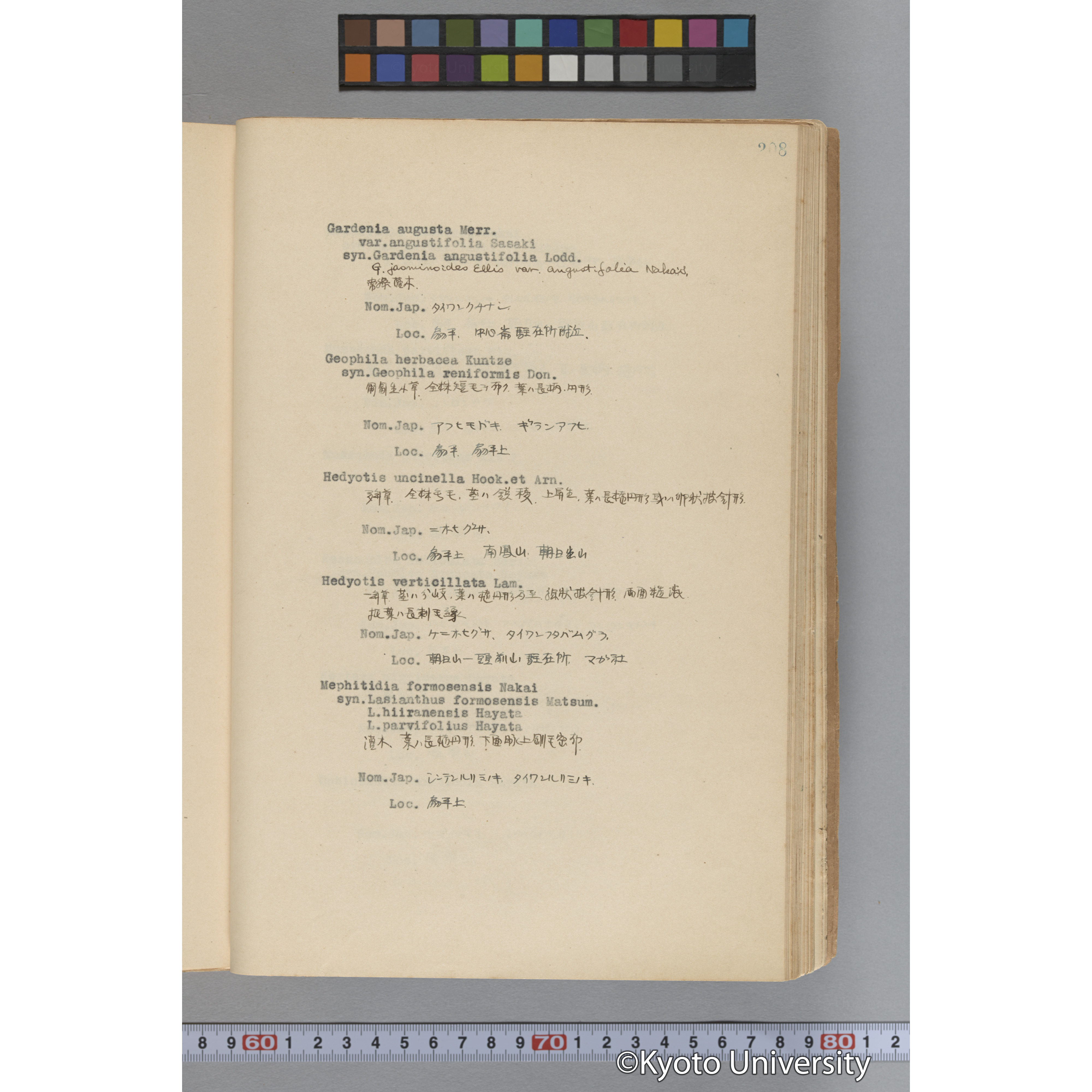 台湾演習林植物調査報告. 第一予報. 1931 植物調査班 (255)