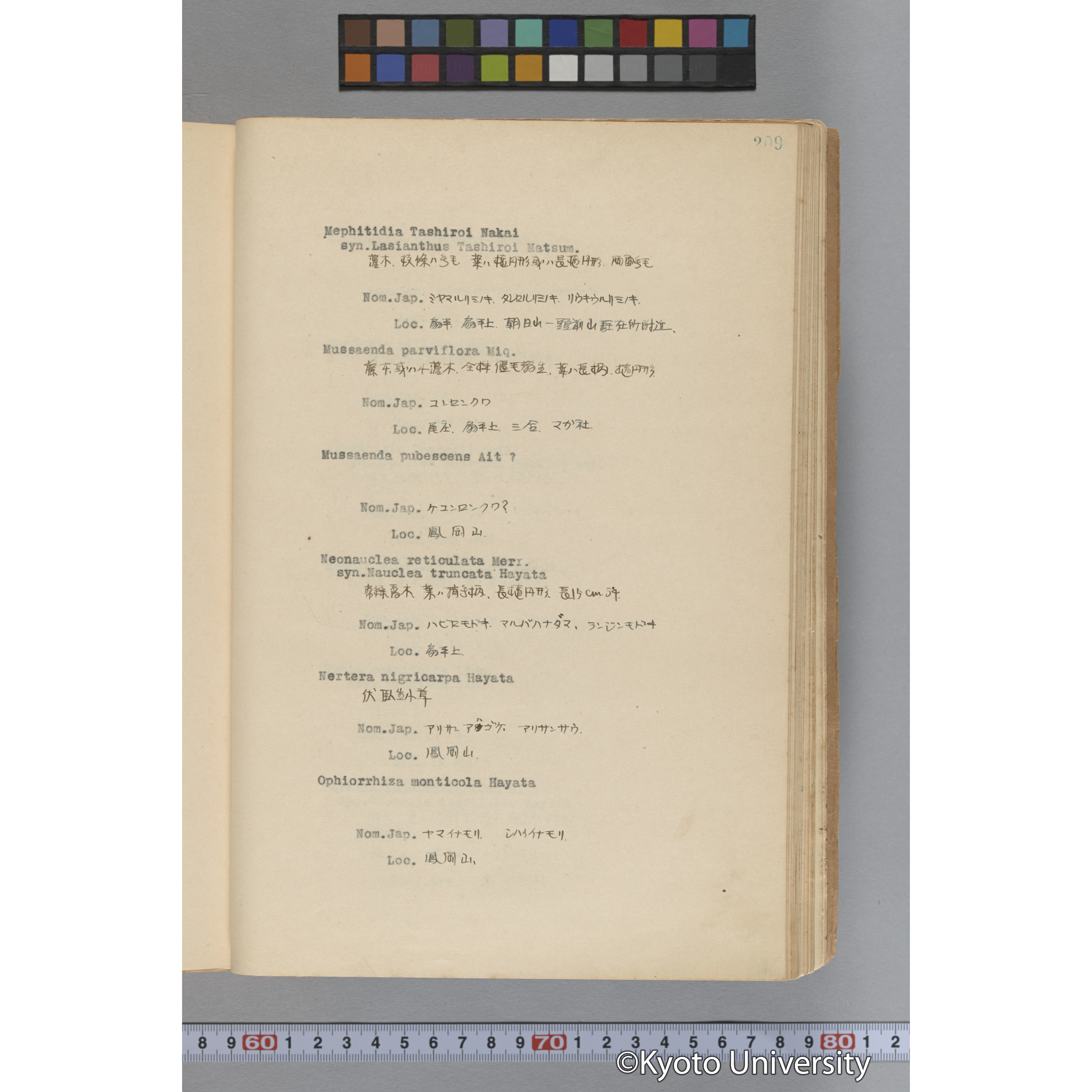 台湾演習林植物調査報告. 第一予報. 1931 植物調査班 (256)