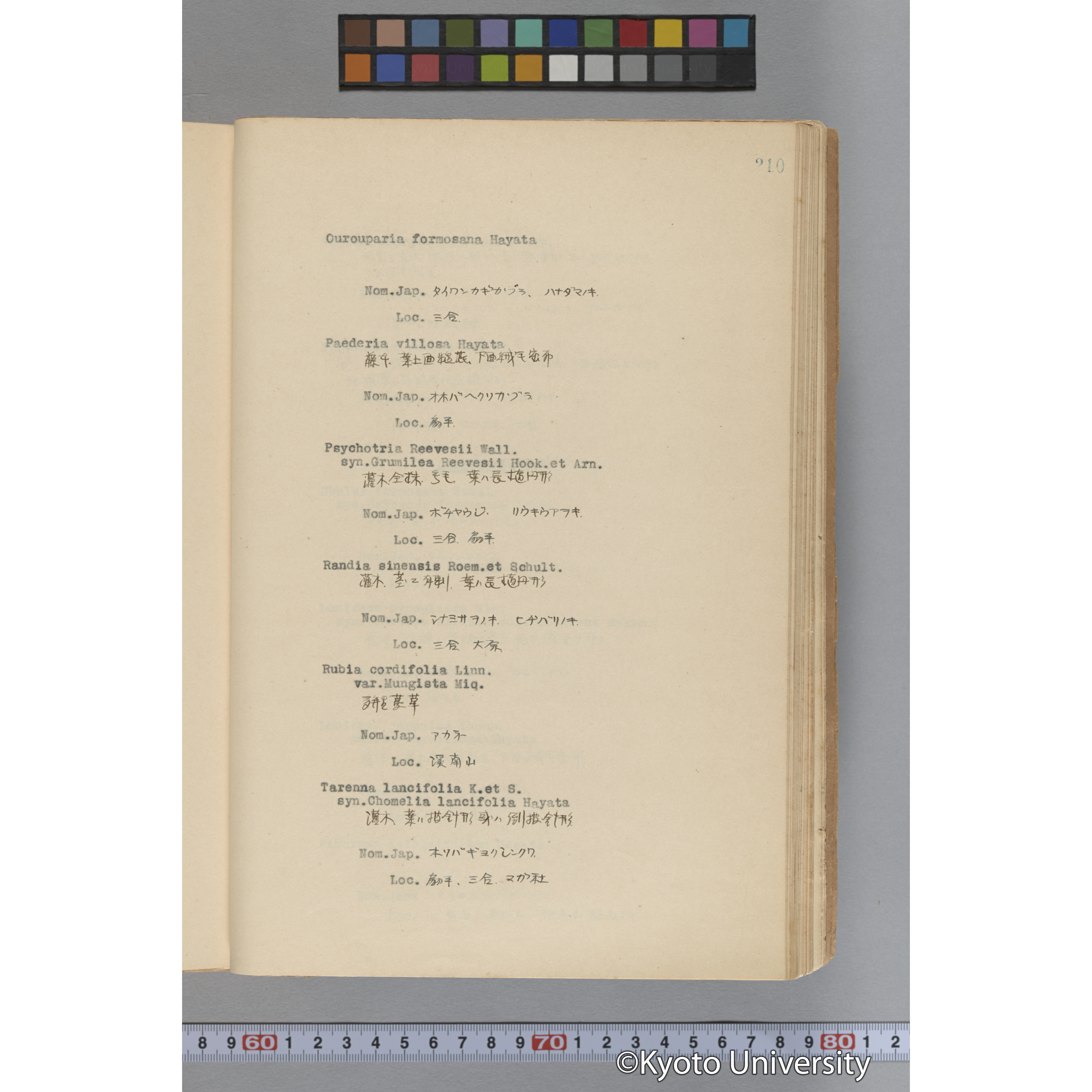 台湾演習林植物調査報告. 第一予報. 1931 植物調査班 (257)