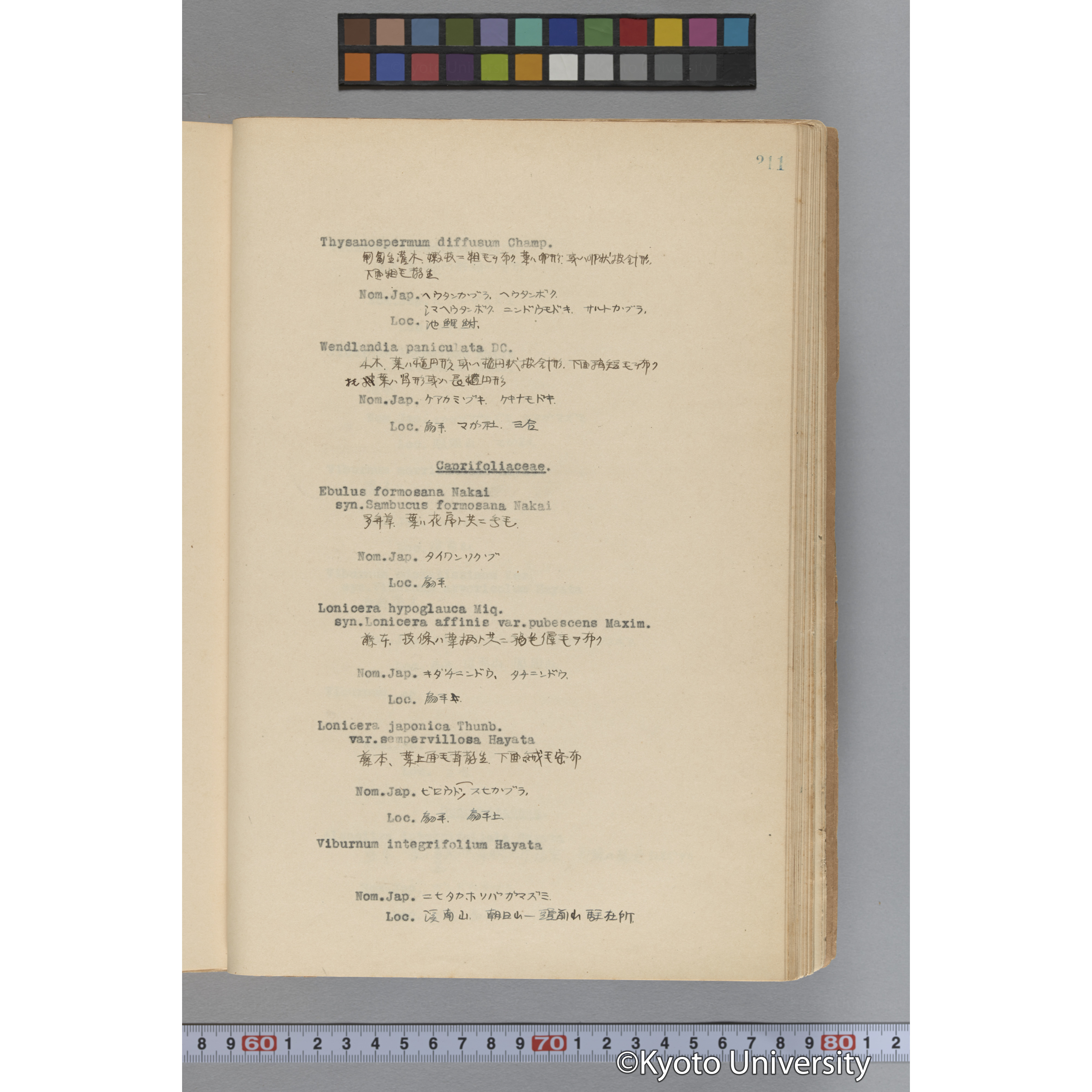 台湾演習林植物調査報告. 第一予報. 1931 植物調査班 (258)