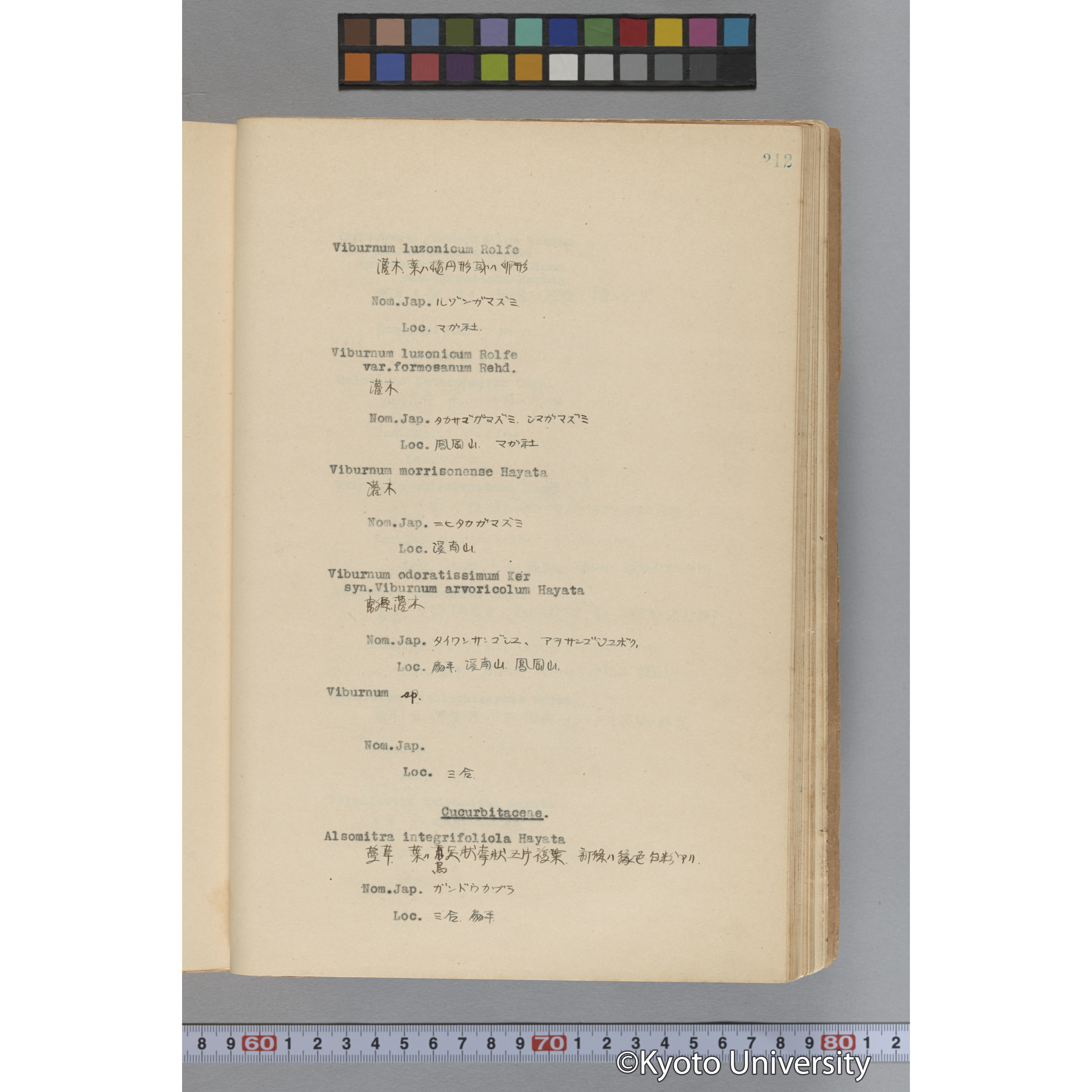 台湾演習林植物調査報告. 第一予報. 1931 植物調査班 (259)