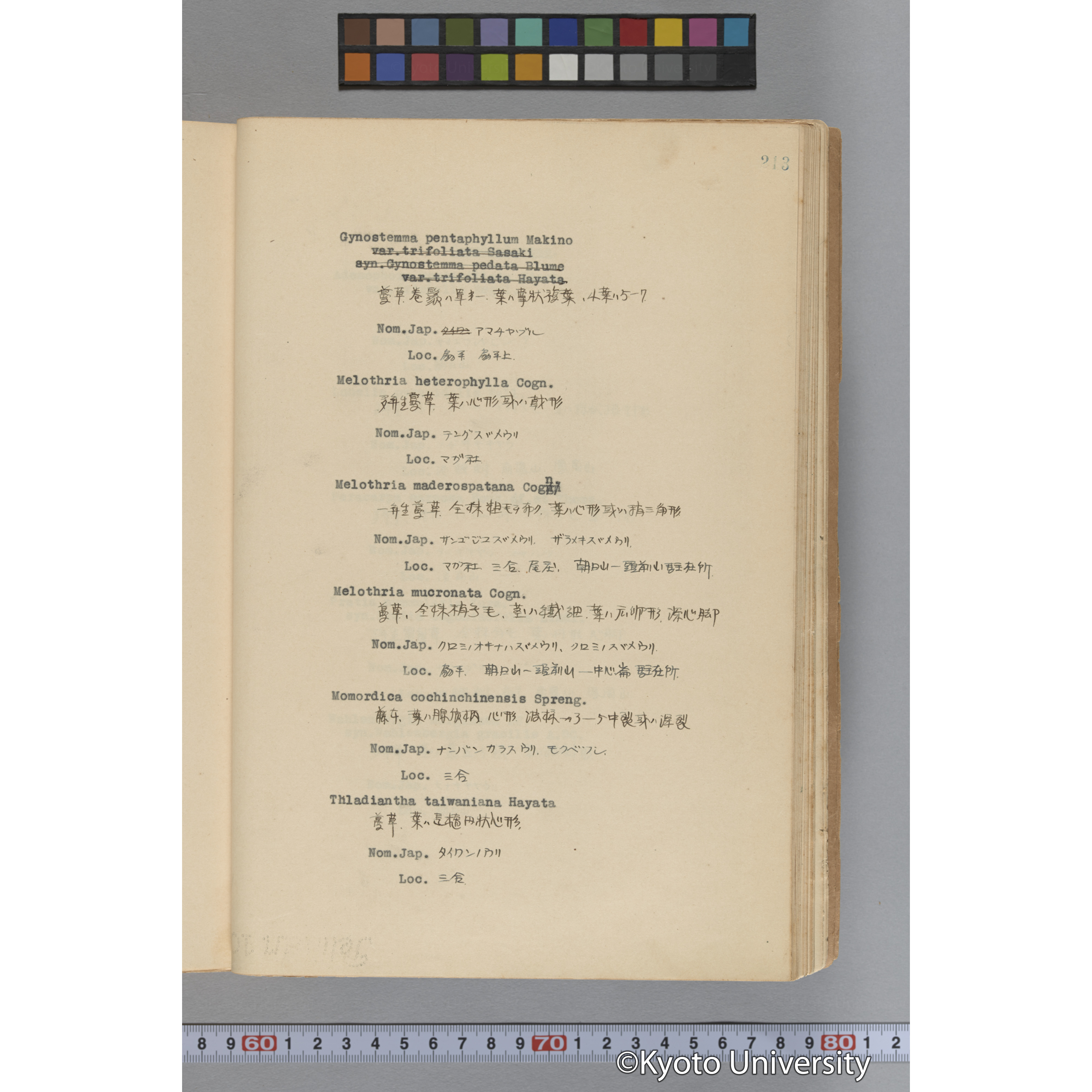 台湾演習林植物調査報告. 第一予報. 1931 植物調査班 (260)