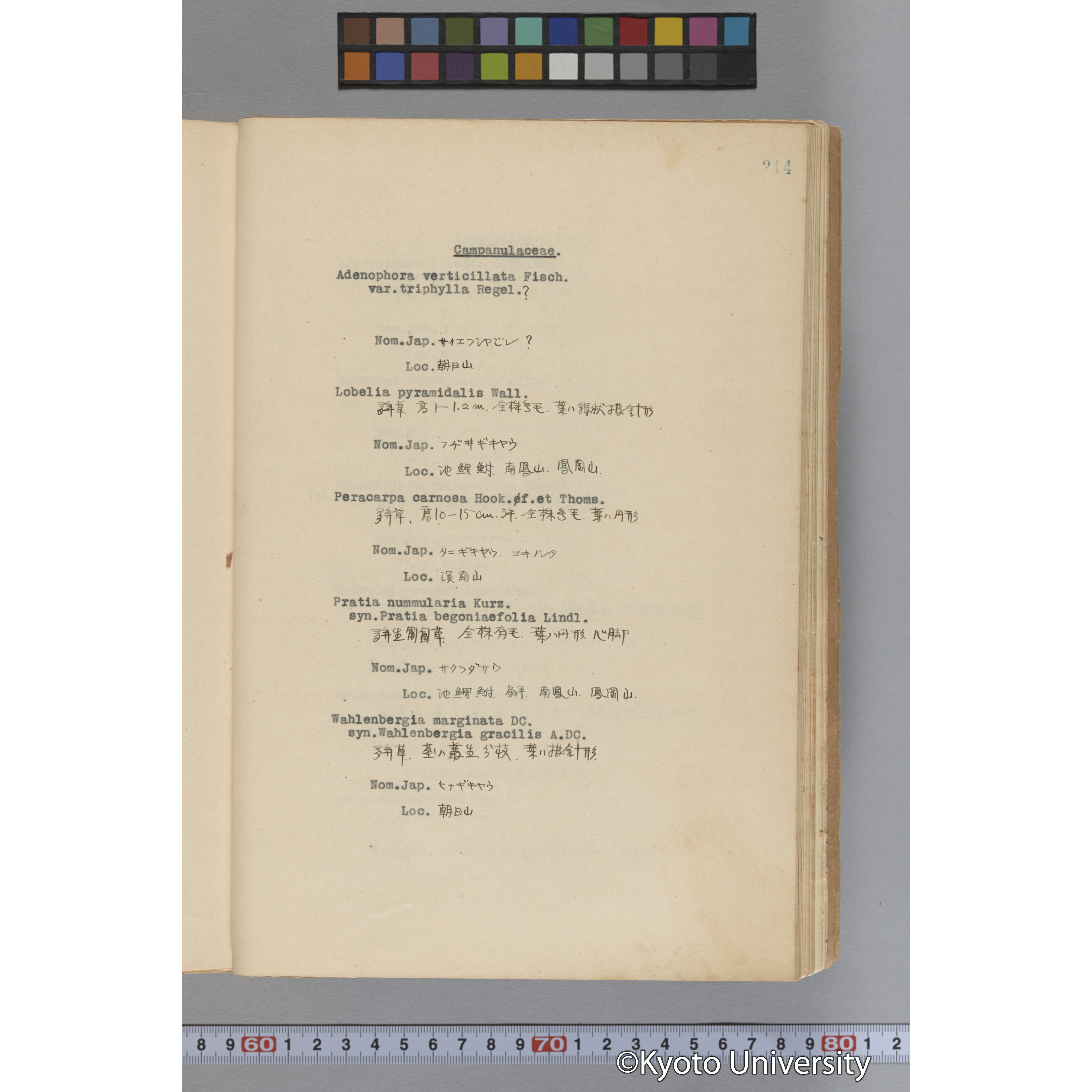 台湾演習林植物調査報告. 第一予報. 1931 植物調査班 (261)