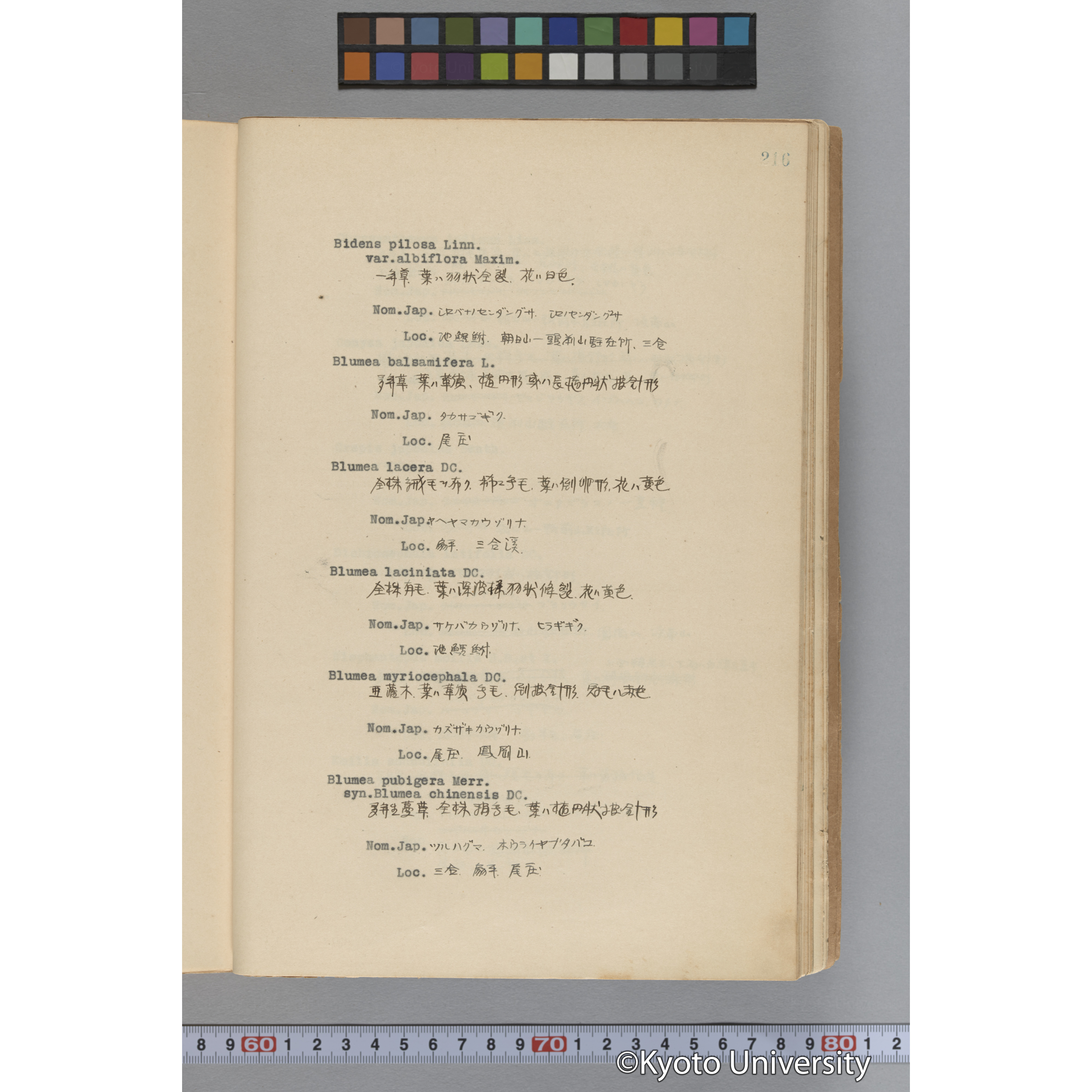 台湾演習林植物調査報告. 第一予報. 1931 植物調査班 (263)
