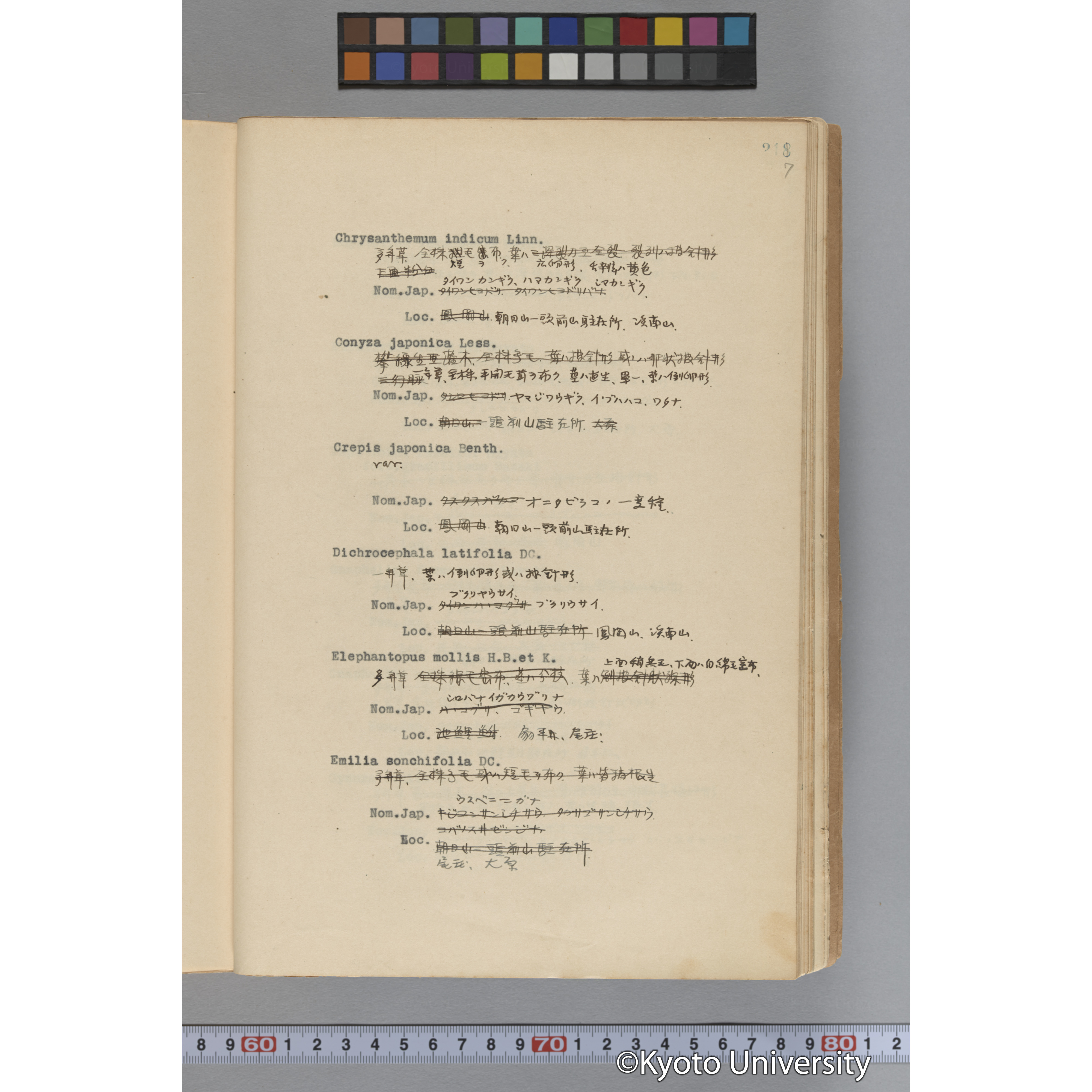 台湾演習林植物調査報告. 第一予報. 1931 植物調査班 (264)