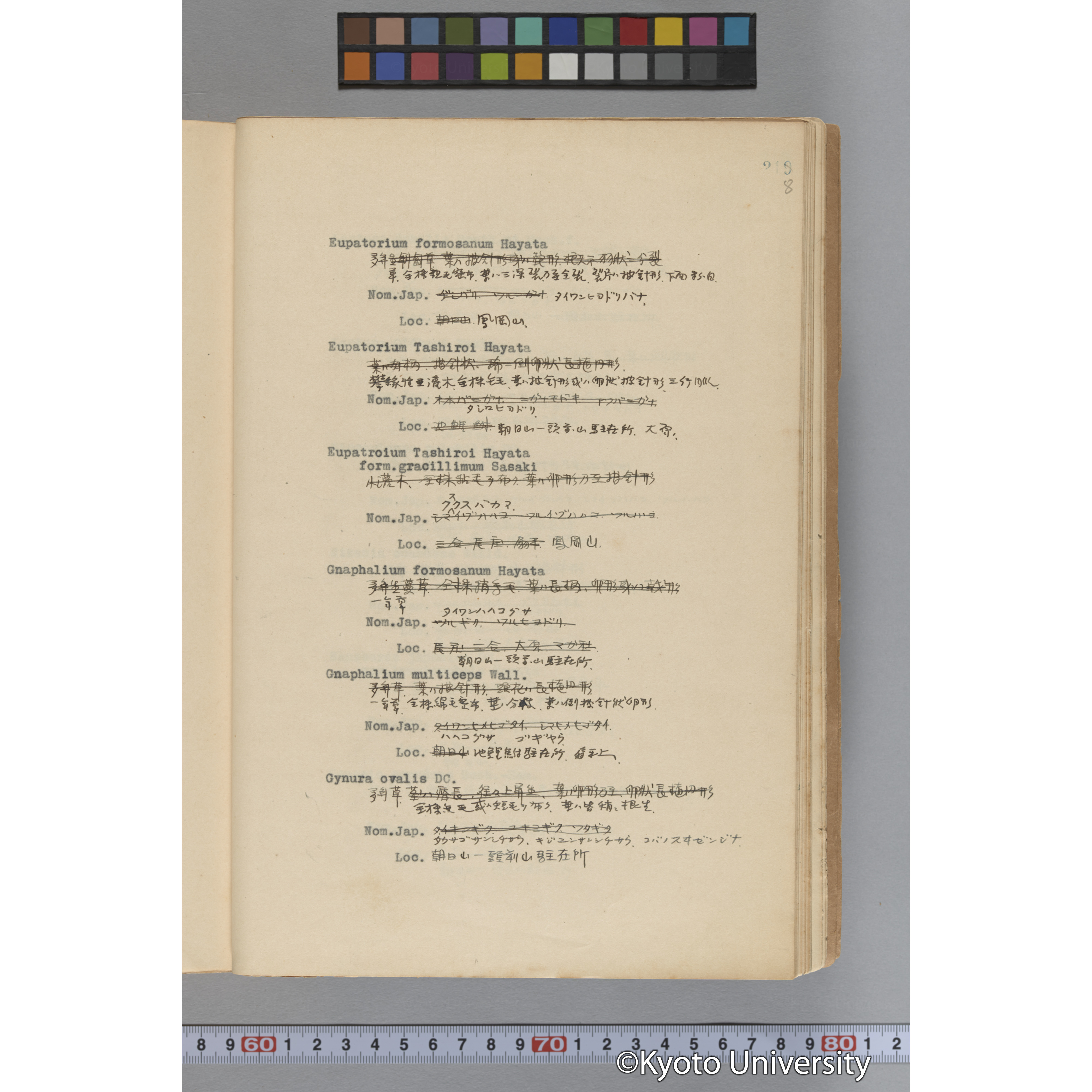 台湾演習林植物調査報告. 第一予報. 1931 植物調査班 (265)