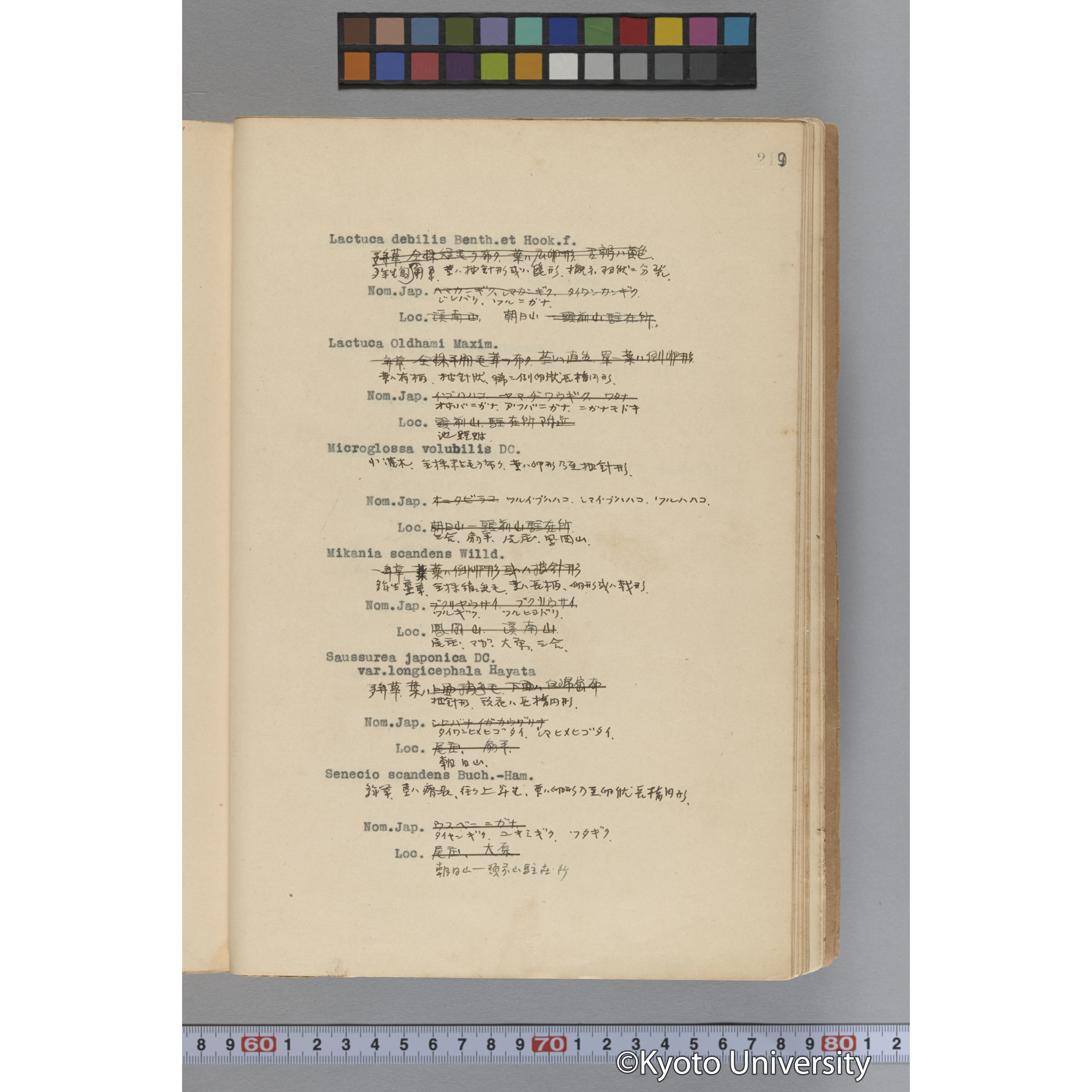 台湾演習林植物調査報告. 第一予報. 1931 植物調査班 (266)