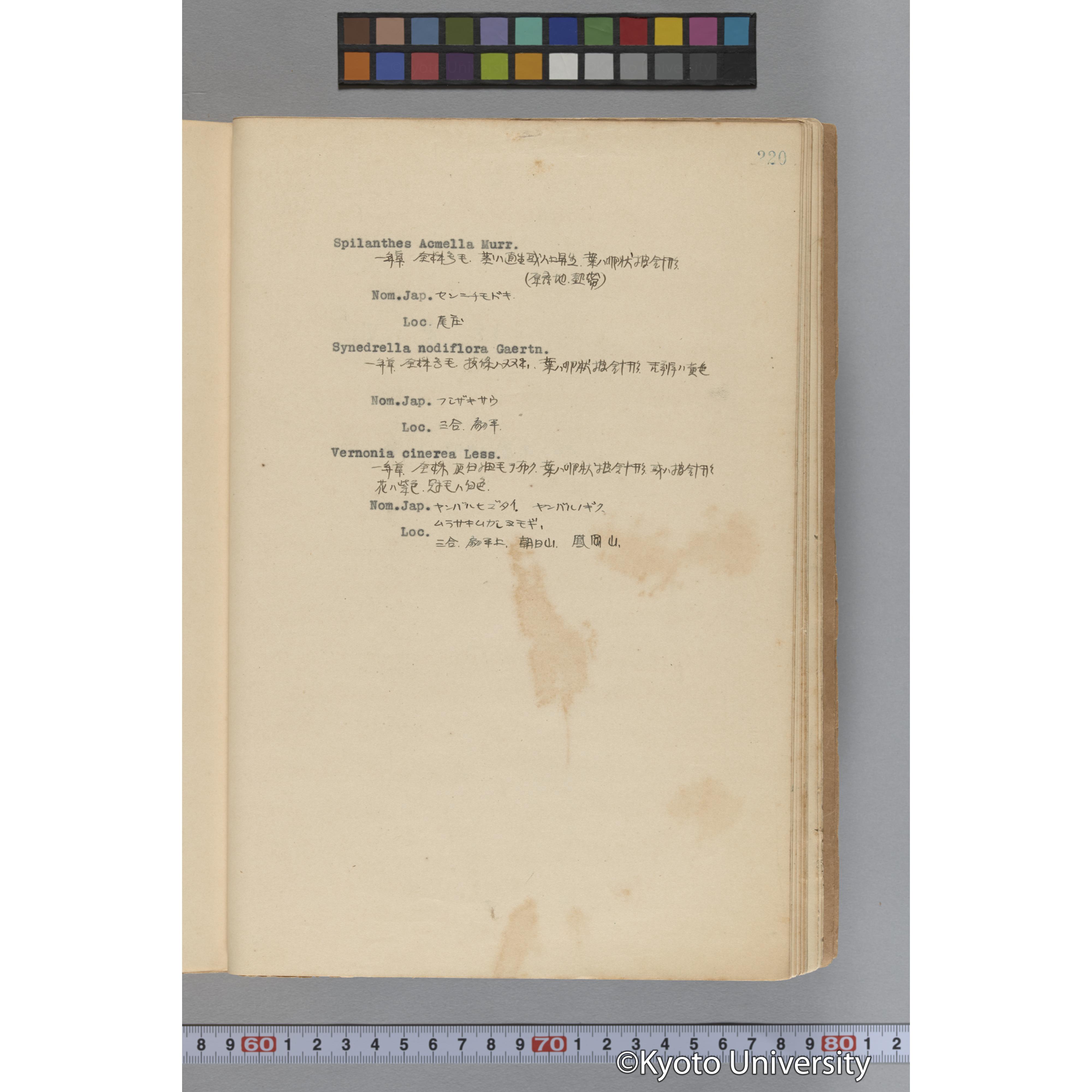 台湾演習林植物調査報告. 第一予報. 1931 植物調査班 (267)