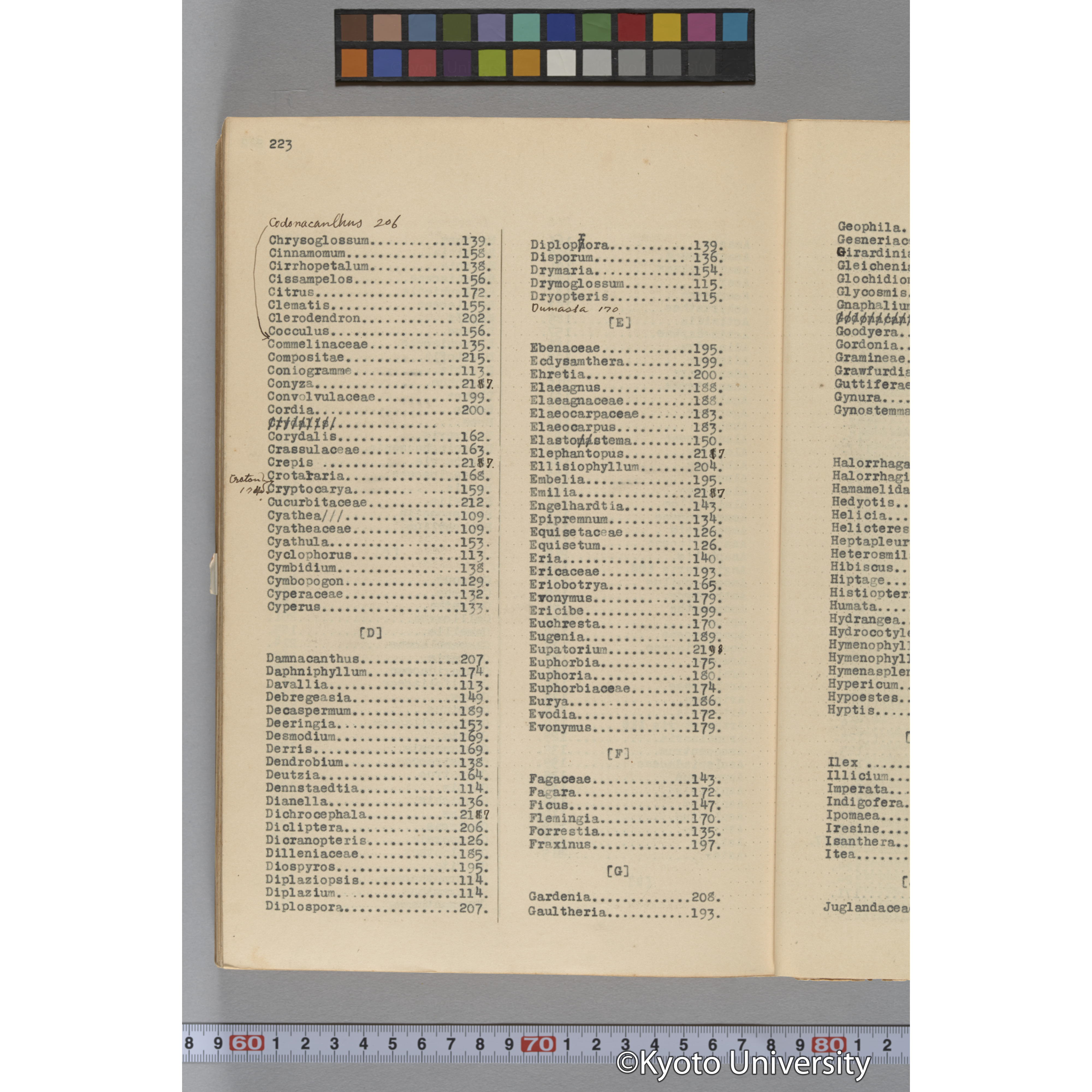 台湾演習林植物調査報告. 第一予報. 1931 植物調査班 (271)