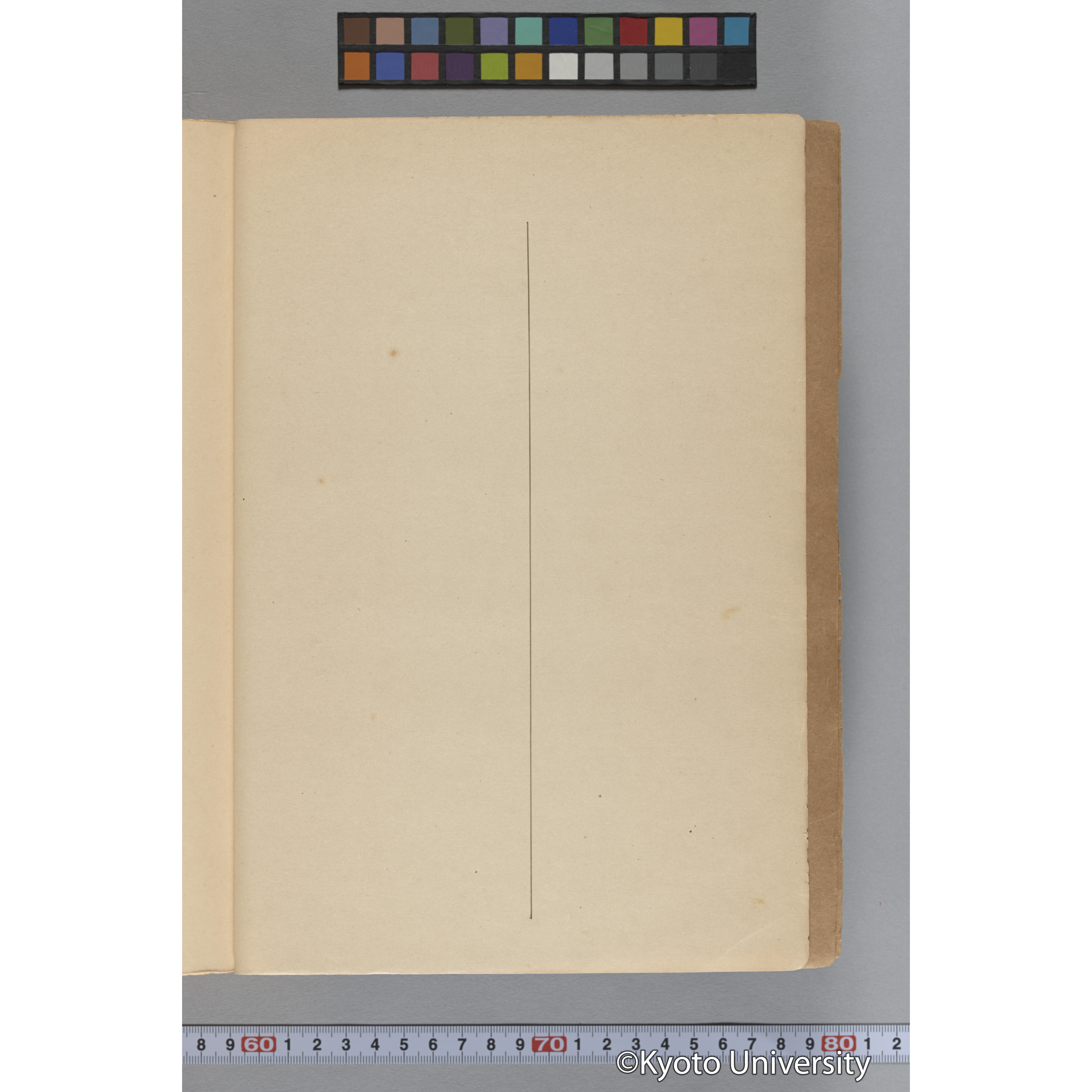 台湾演習林植物調査報告. 第一予報. 1931 植物調査班 (290)