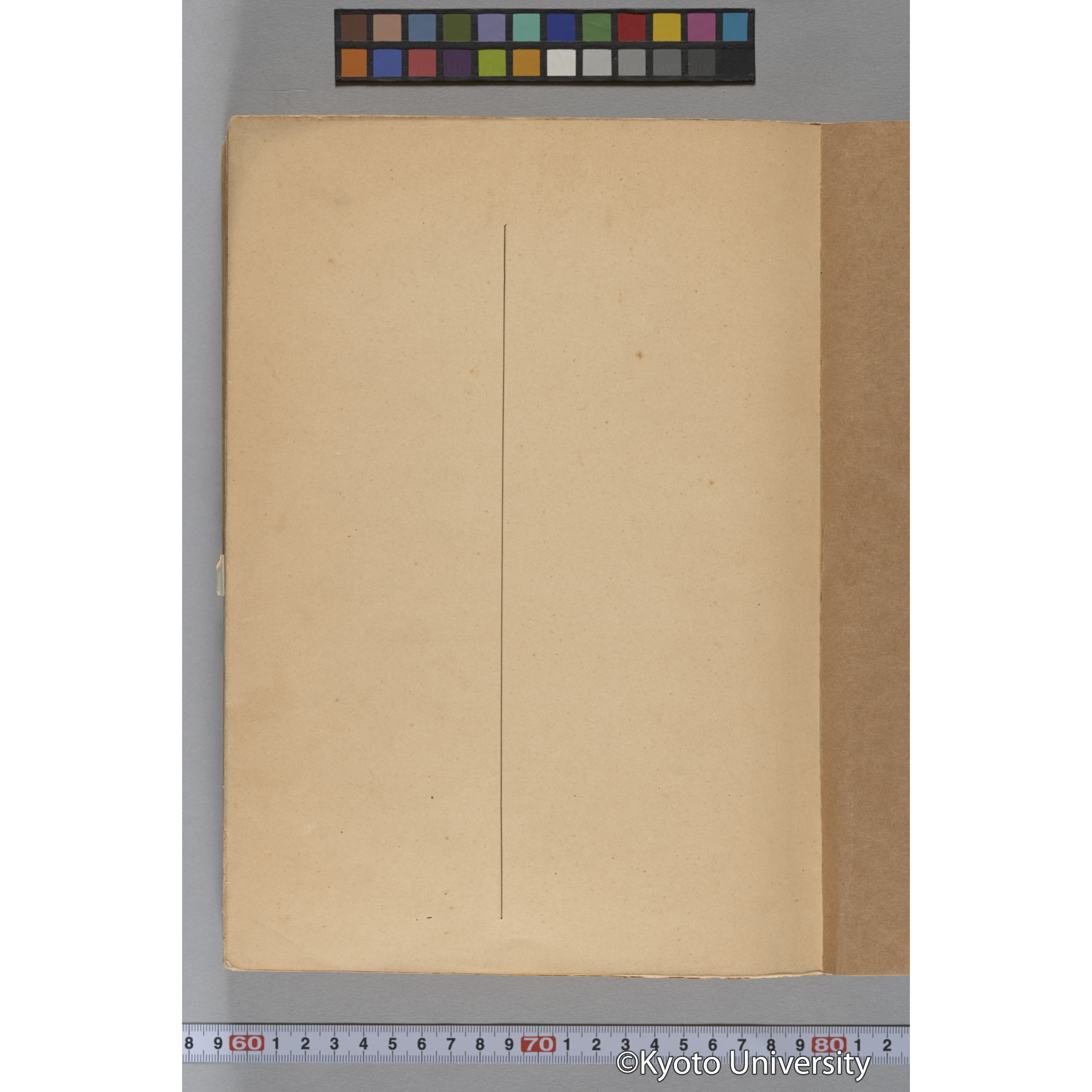 台湾演習林植物調査報告. 第一予報. 1931 植物調査班 (291)