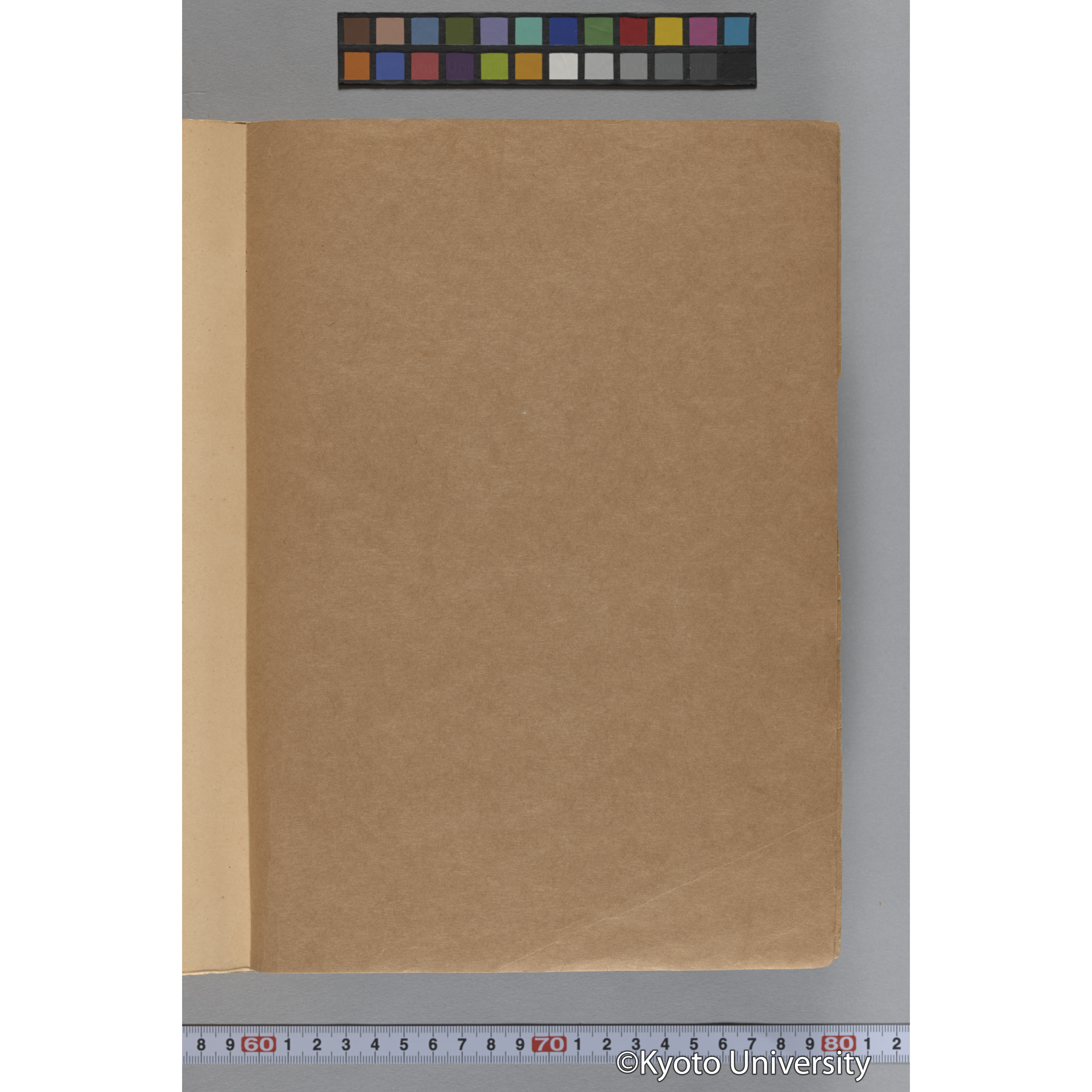 台湾演習林植物調査報告. 第一予報. 1931 植物調査班 (292)