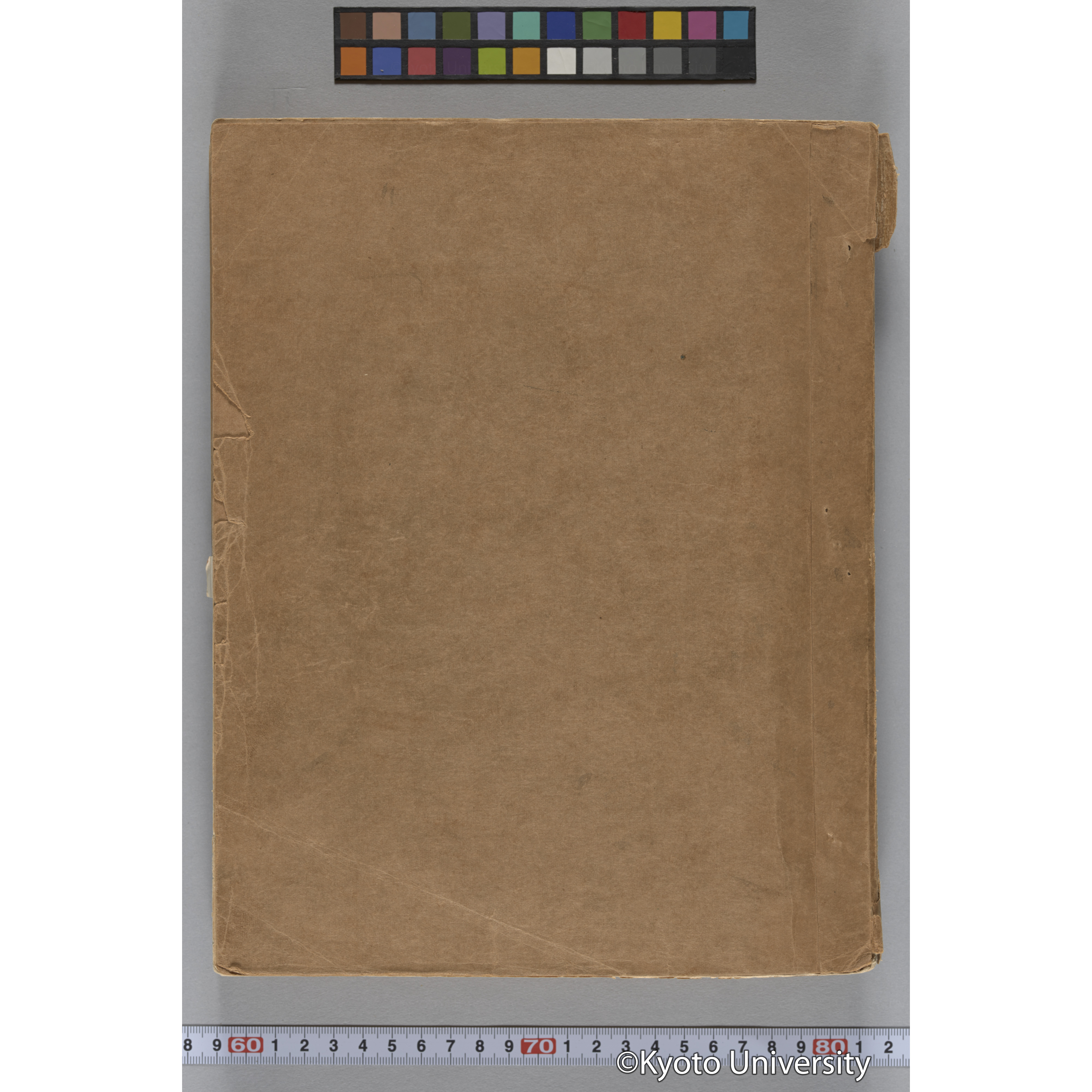 台湾演習林植物調査報告. 第一予報. 1931 植物調査班 (293)