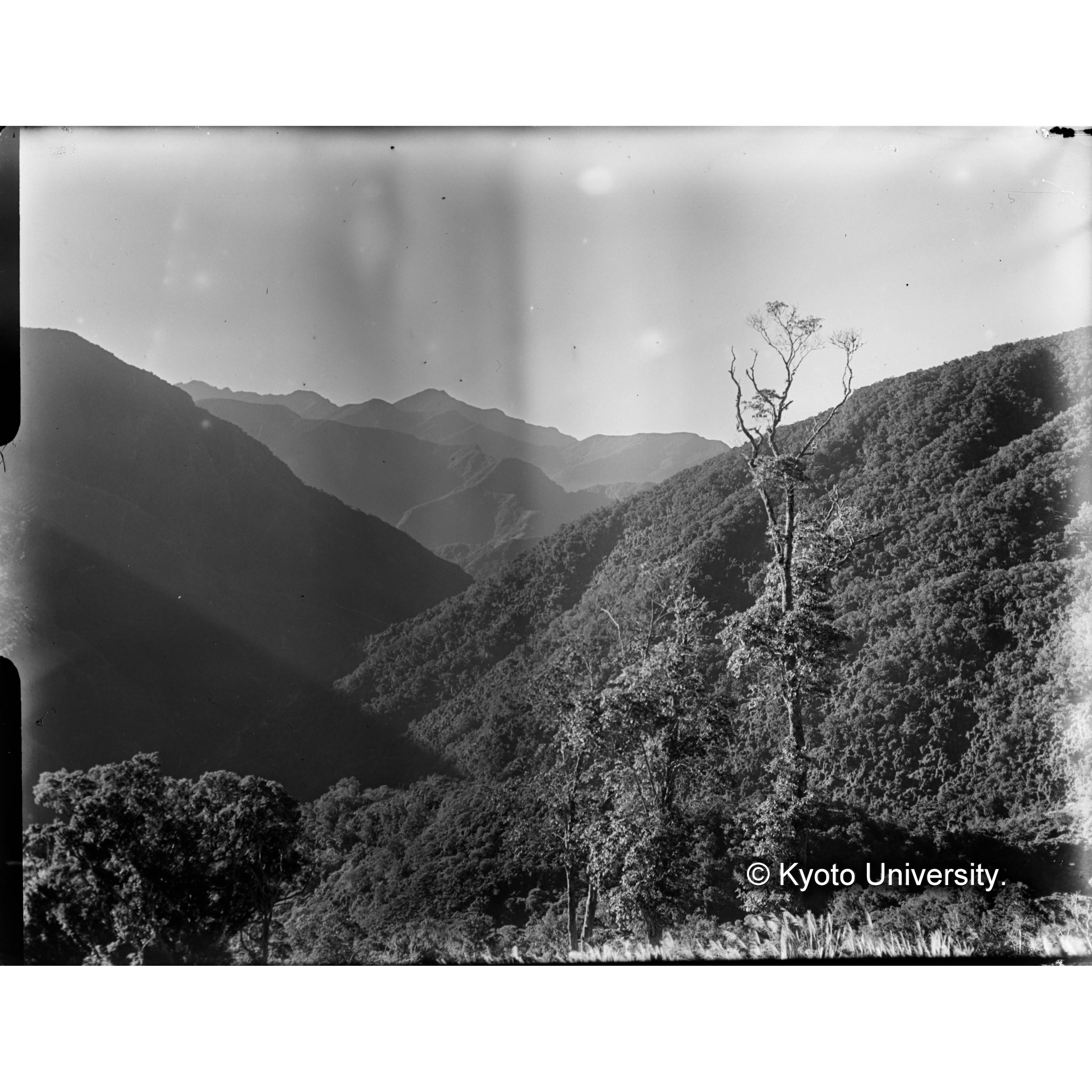 見附駐在所より鳳崗山東方斜面を望む (1)