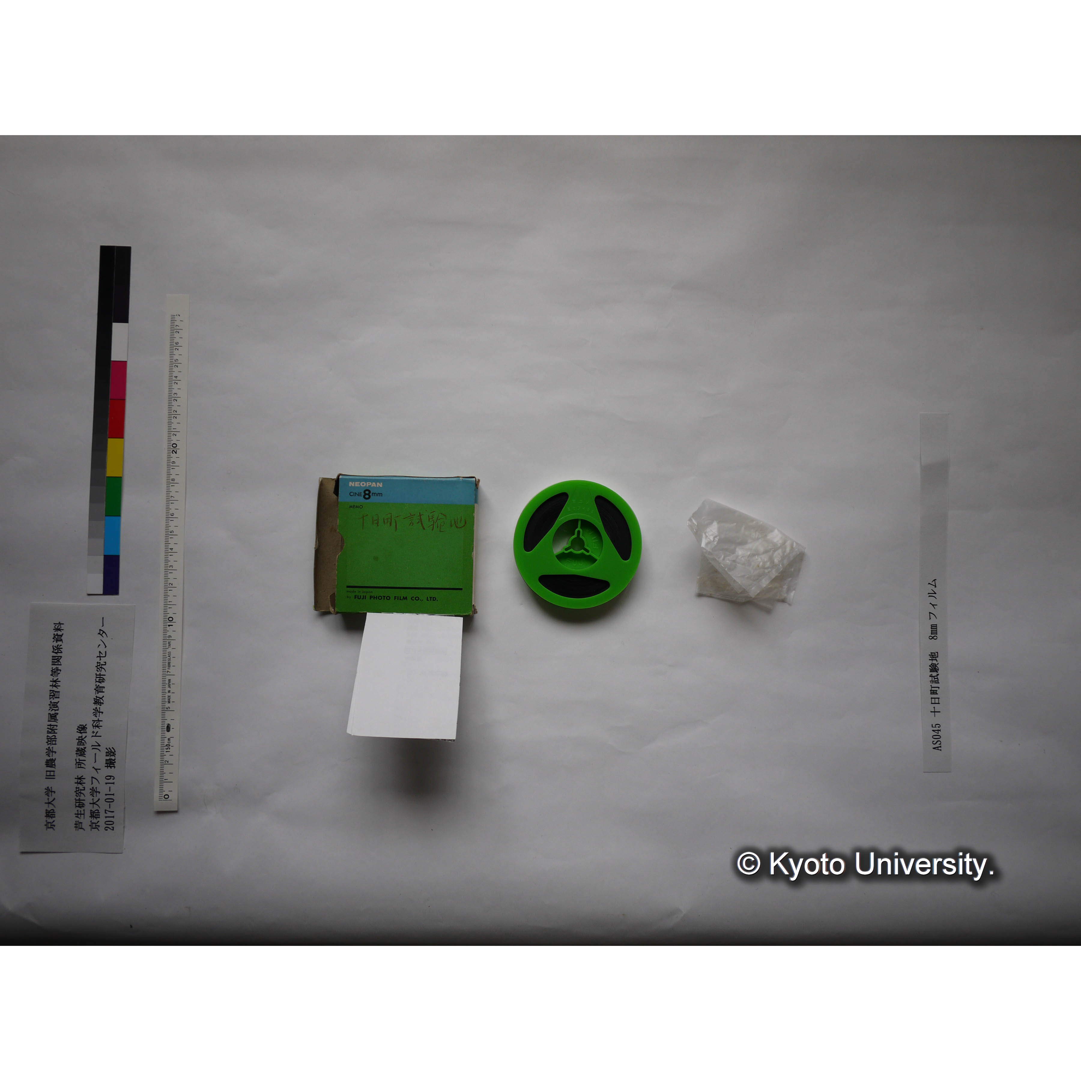 十日町試験地 (2)