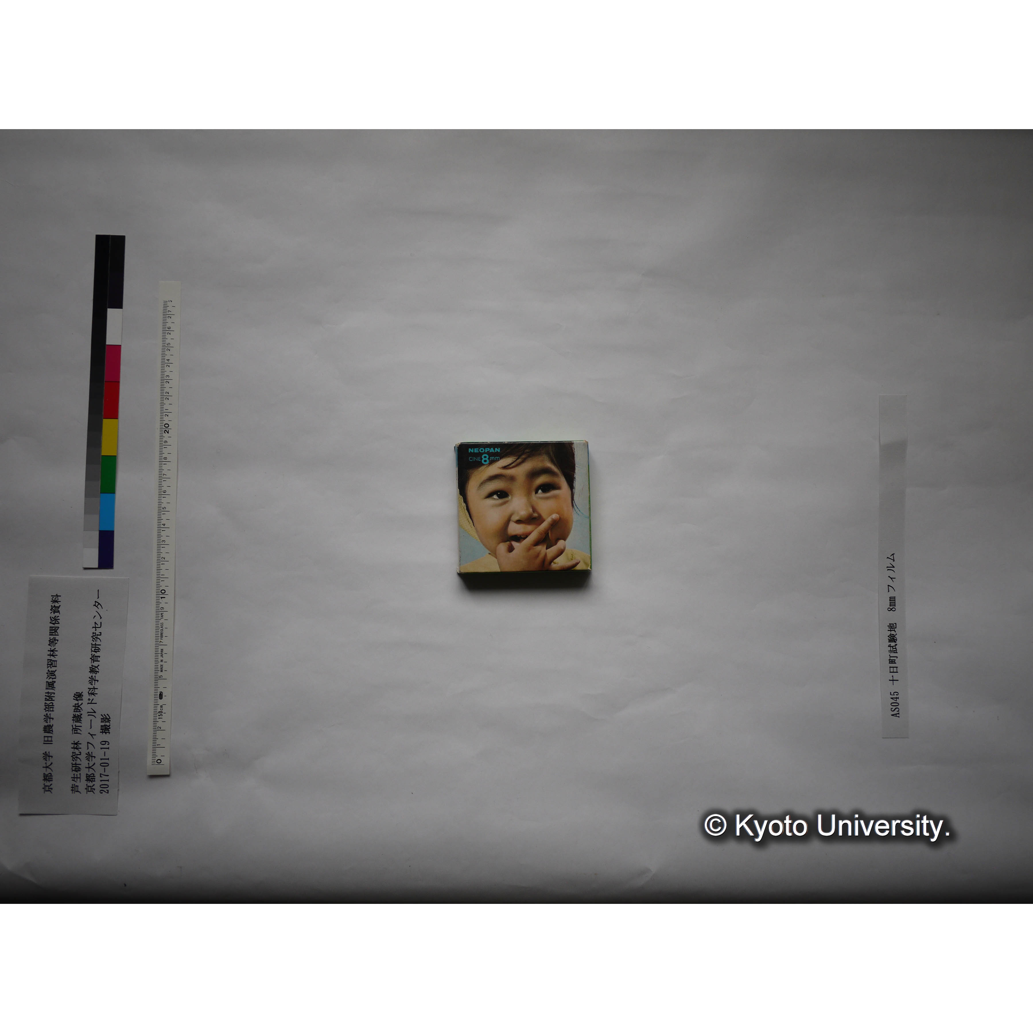 十日町試験地 (4)