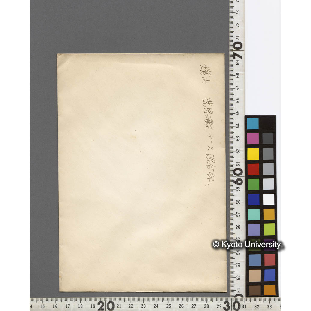 旗山における想思樹とチークの混合林 (2)