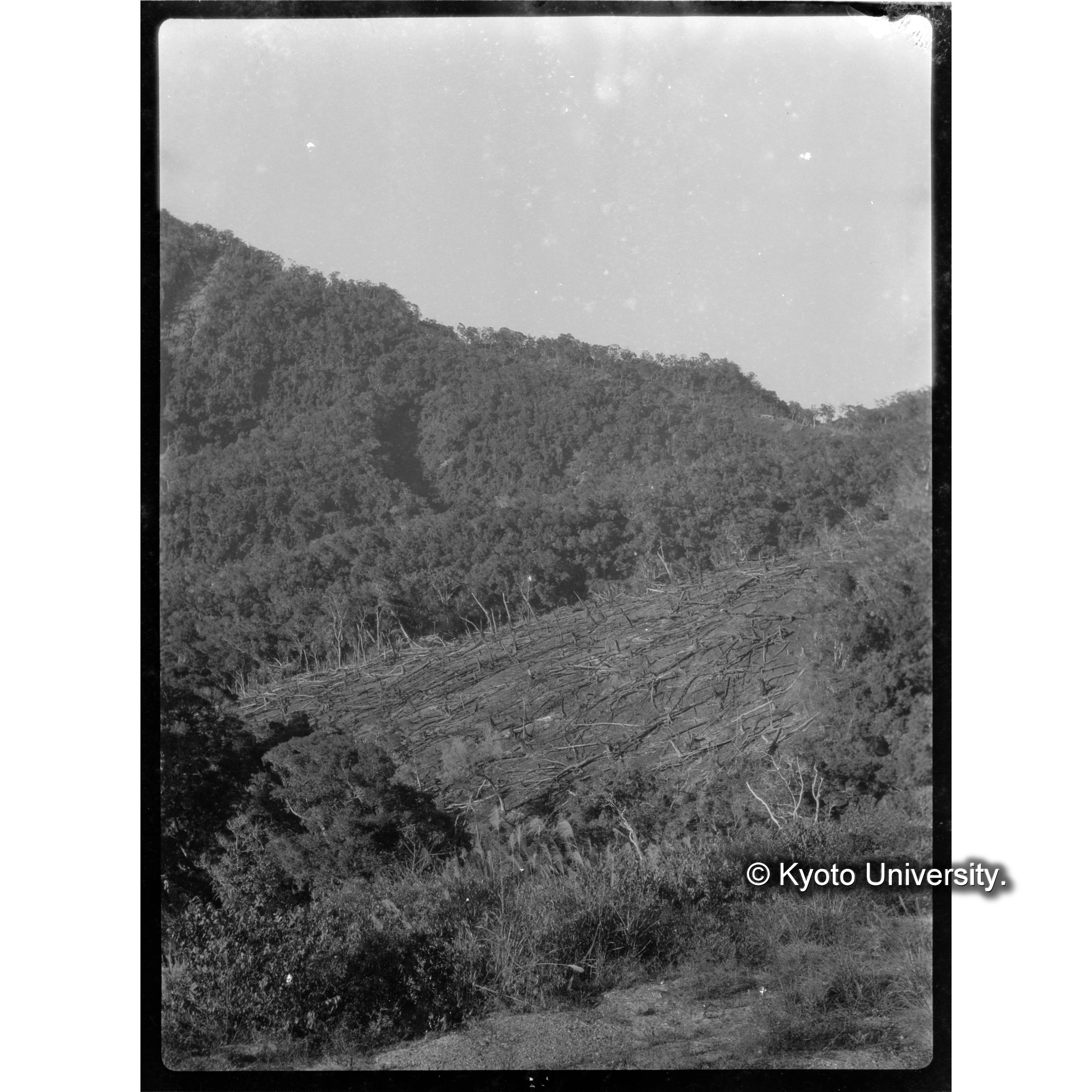 鳳崗山付近　鳳崗山下の焼地 (1)