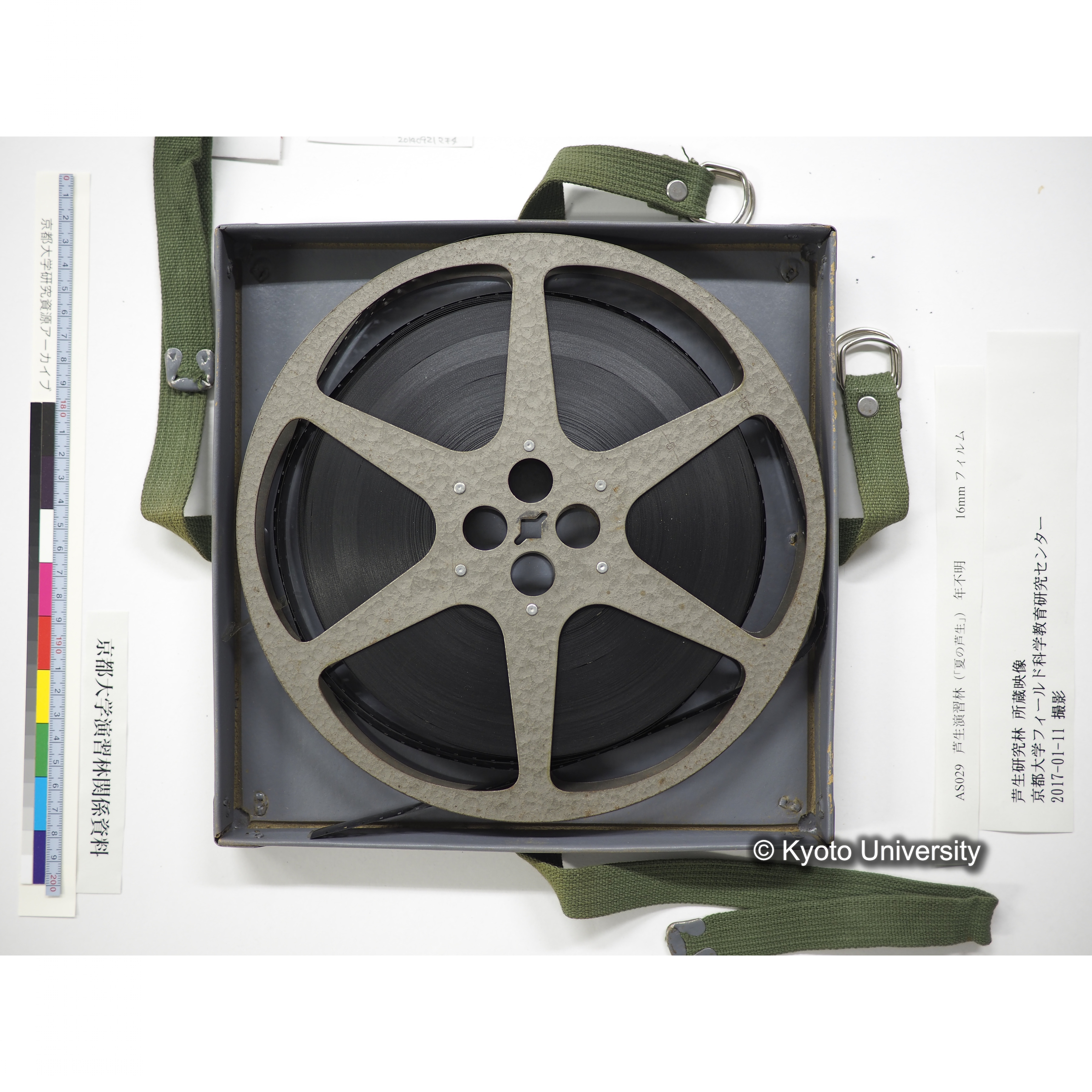 芦生演習林〔５人が由良川本流沿いを事務所から長治谷まで／中山神社での神事風景〕 (15)