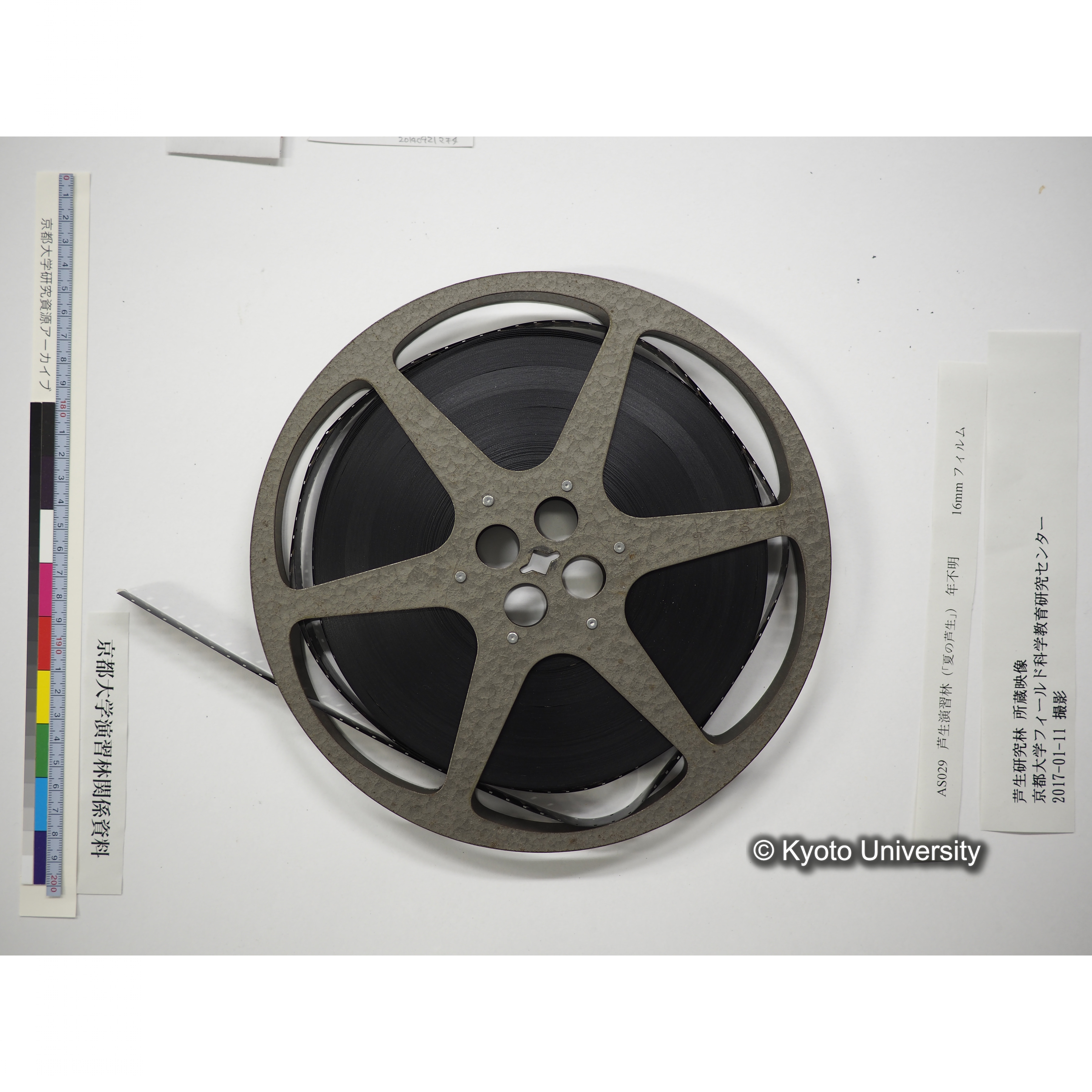 芦生演習林〔５人が由良川本流沿いを事務所から長治谷まで／中山神社での神事風景〕 (17)