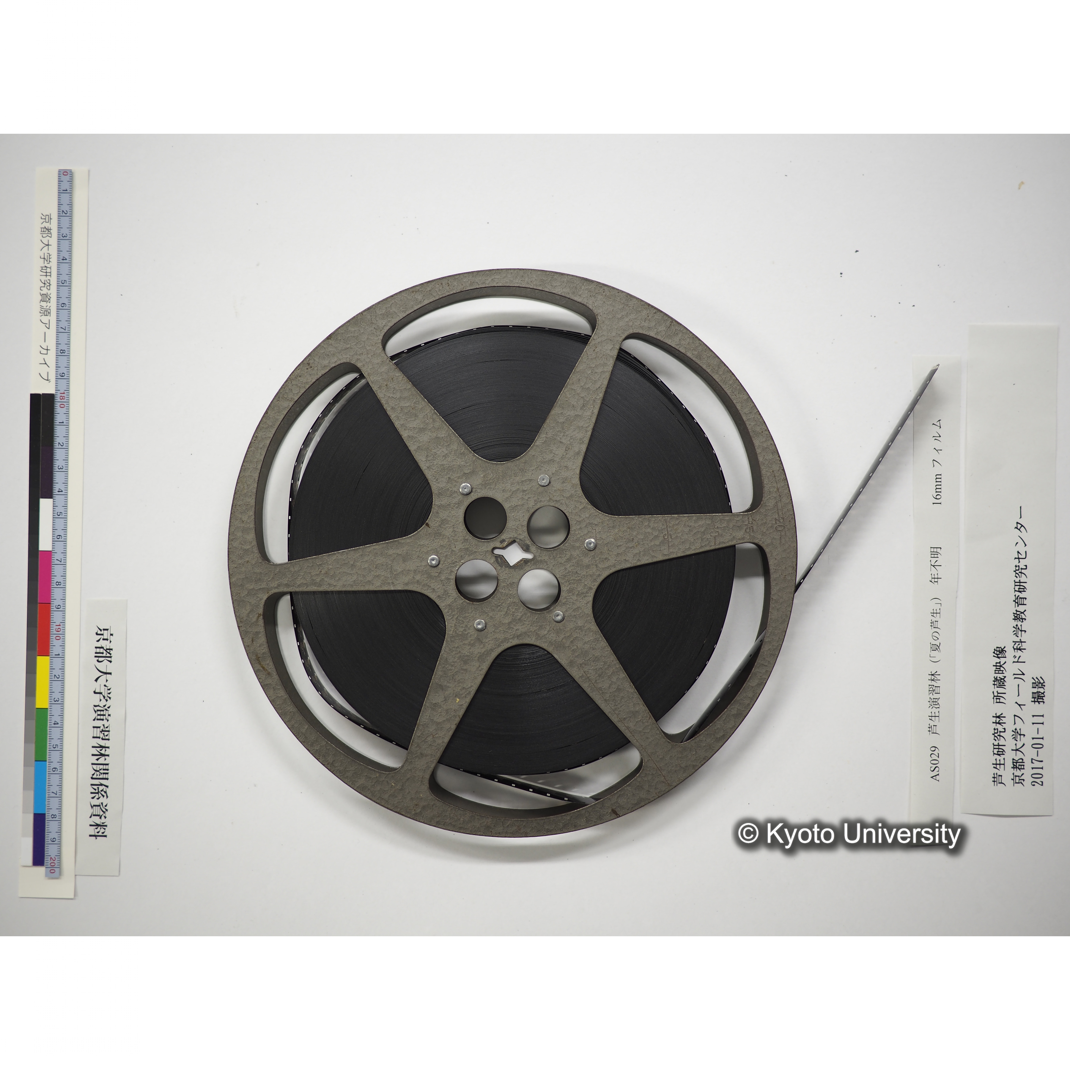 芦生演習林〔５人が由良川本流沿いを事務所から長治谷まで／中山神社での神事風景〕 (18)