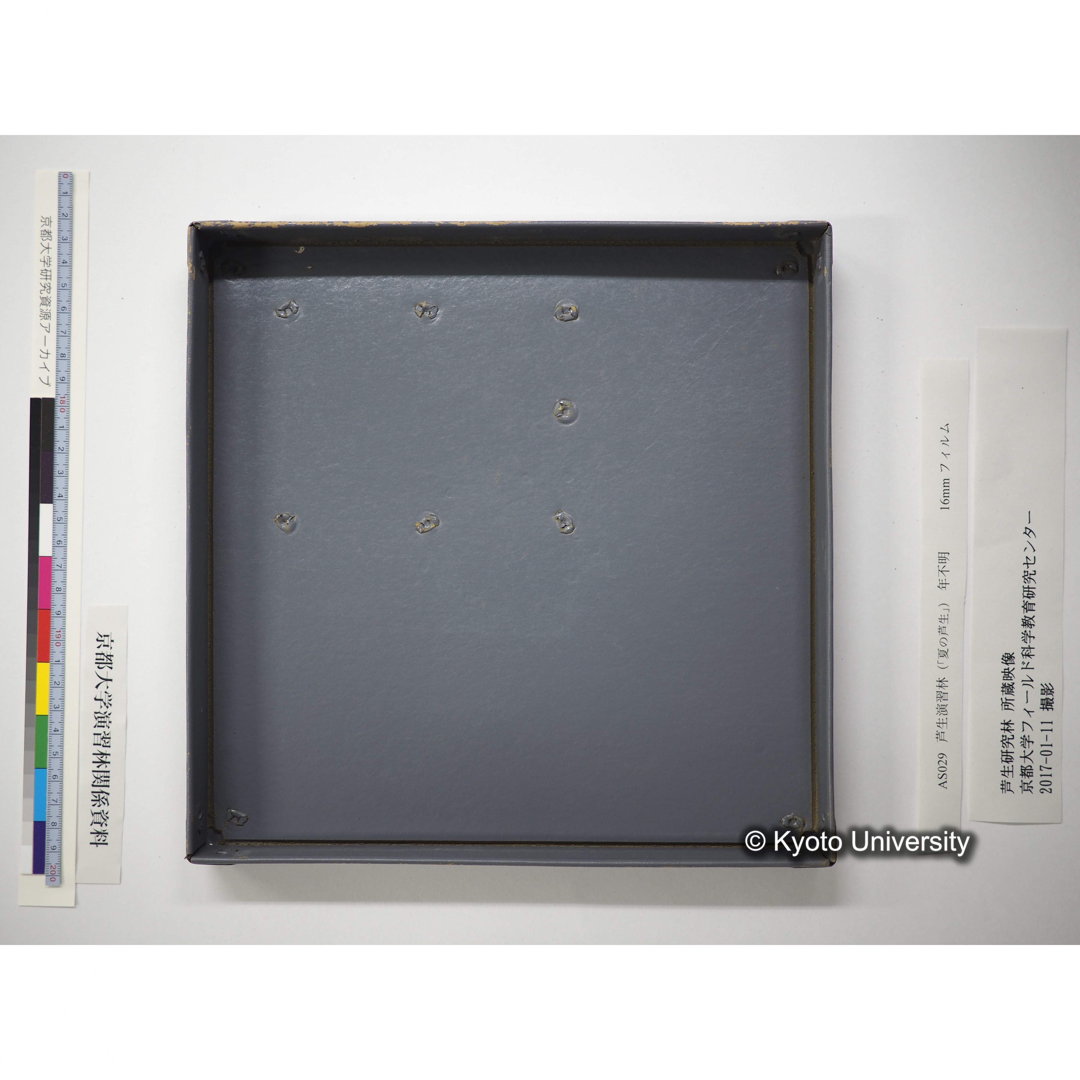 芦生演習林〔５人が由良川本流沿いを事務所から長治谷まで／中山神社での神事風景〕 (19)