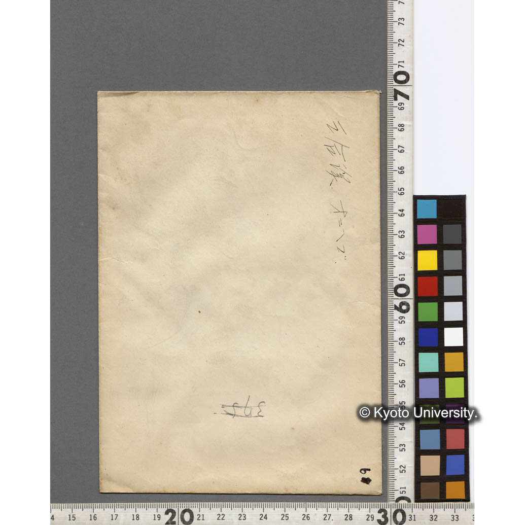 三合渓におけるオニヘゴ (2)