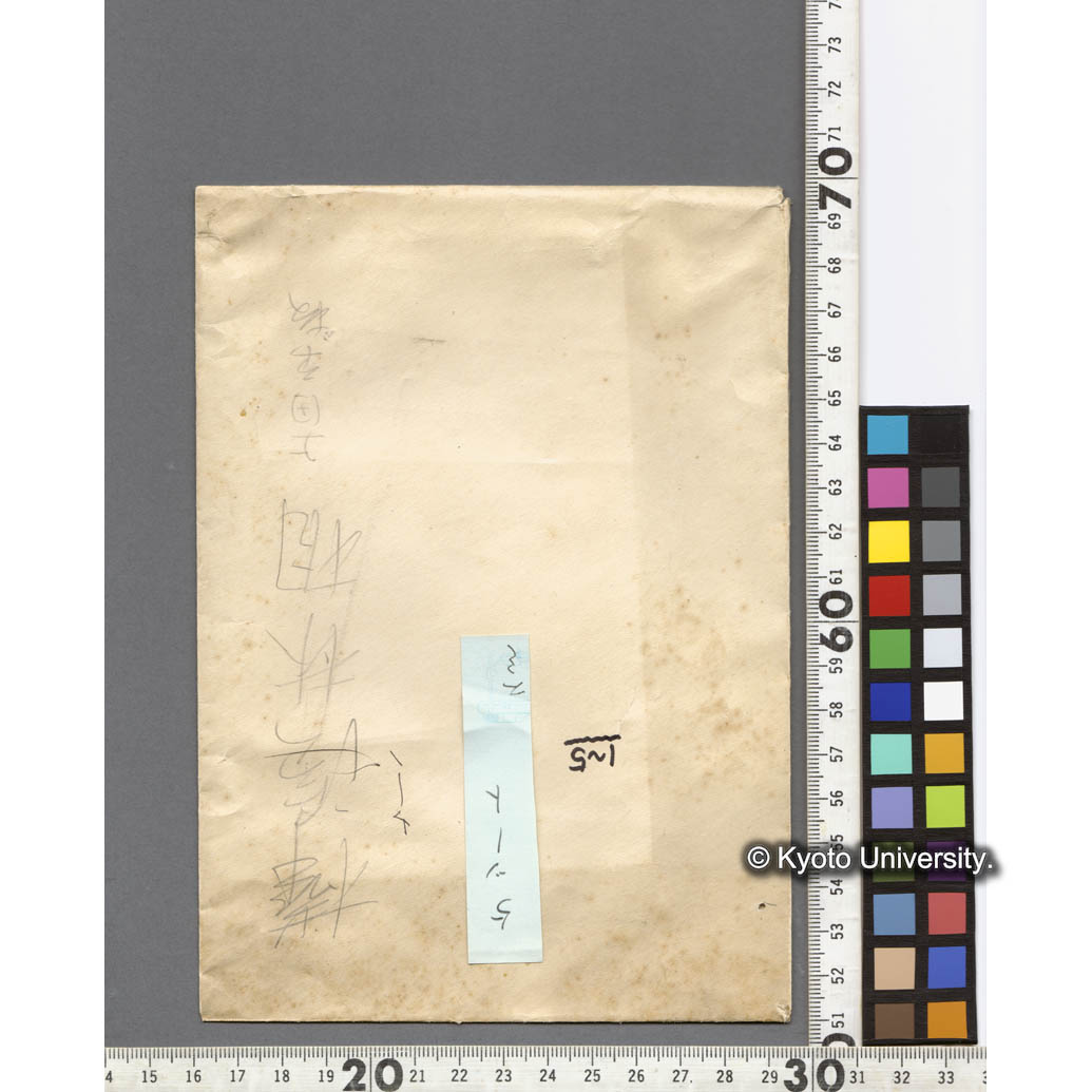 熊ノ沢におけるグイマツ純林 (2)