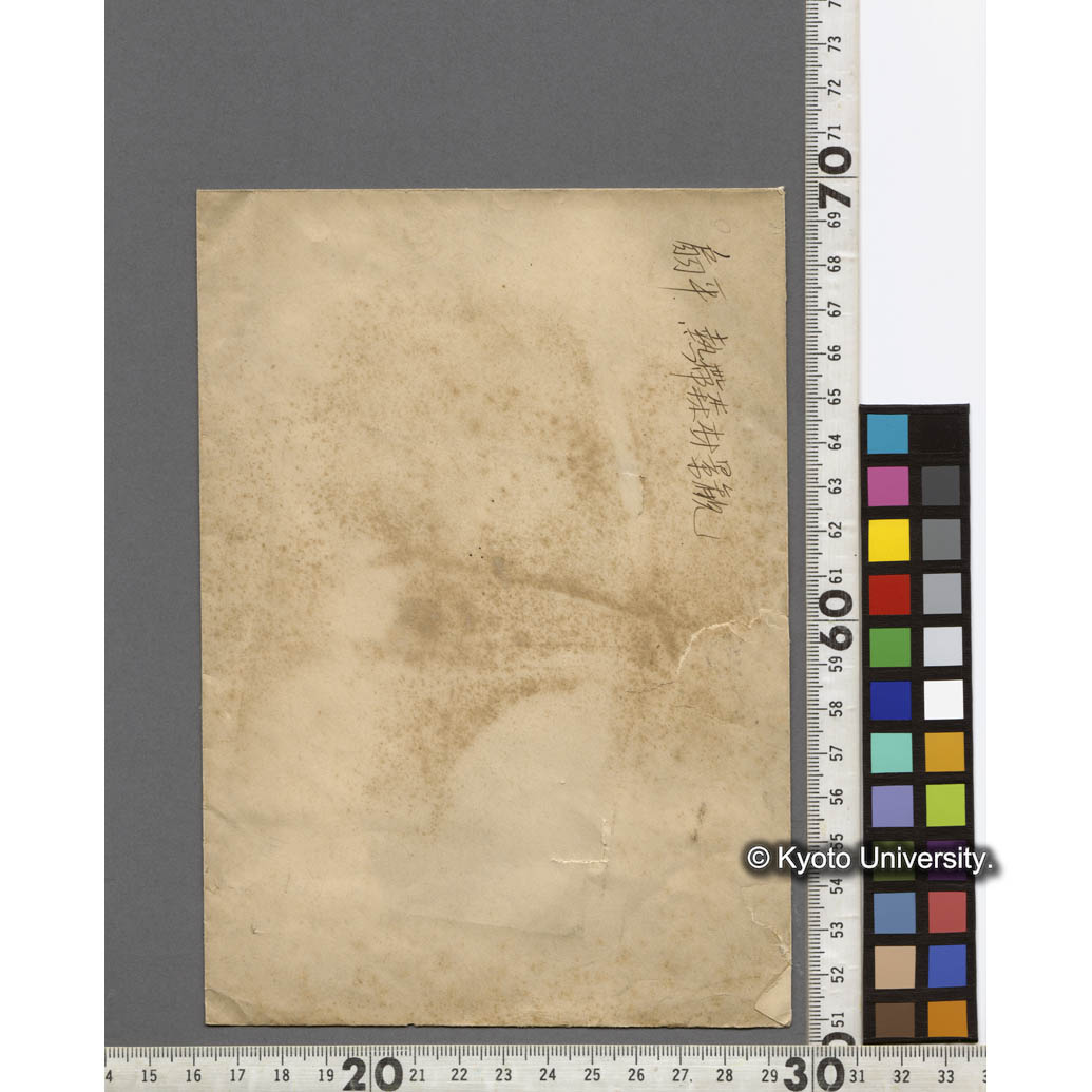 扇平　熱帯森林景観 (2)