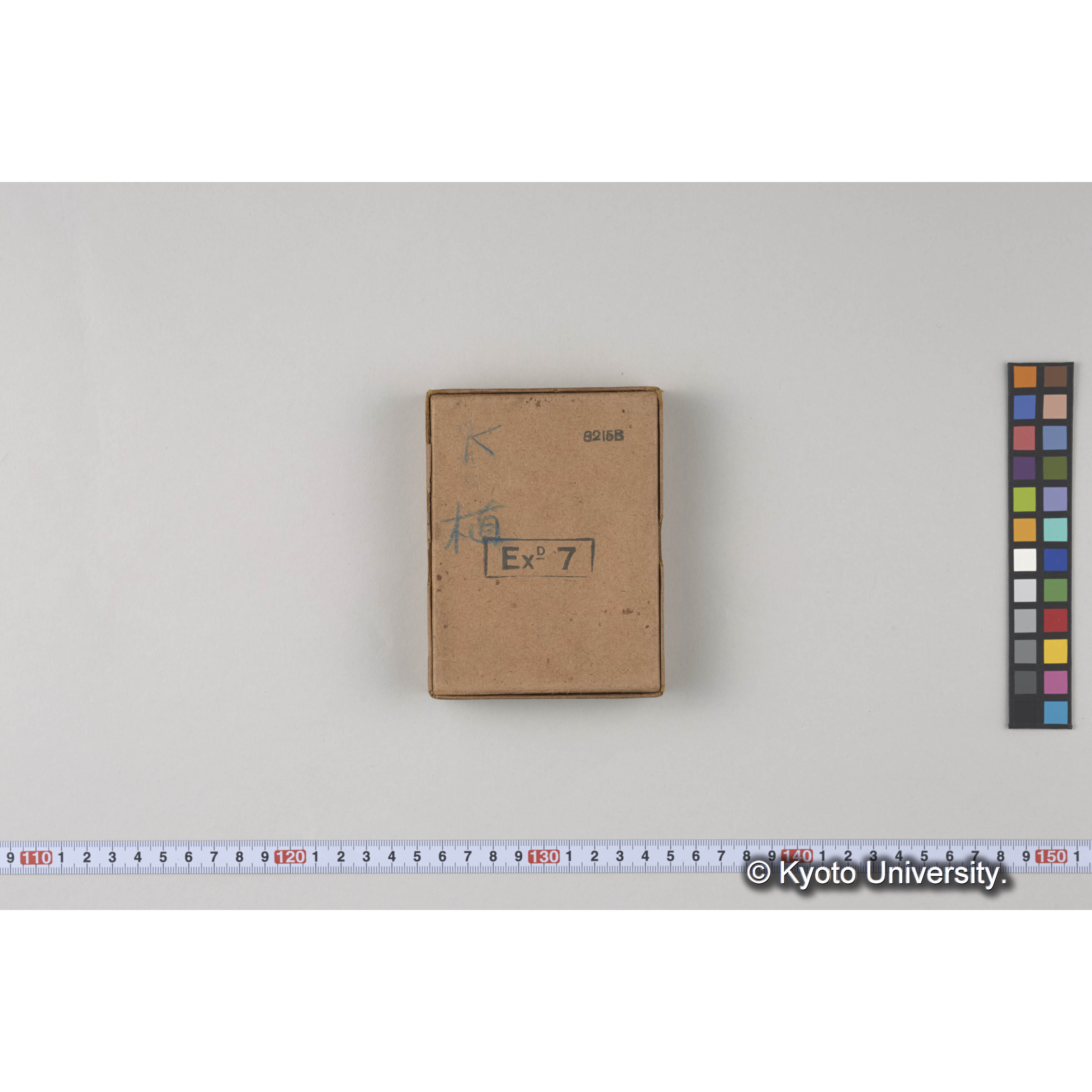 ガラス乾板C (3)