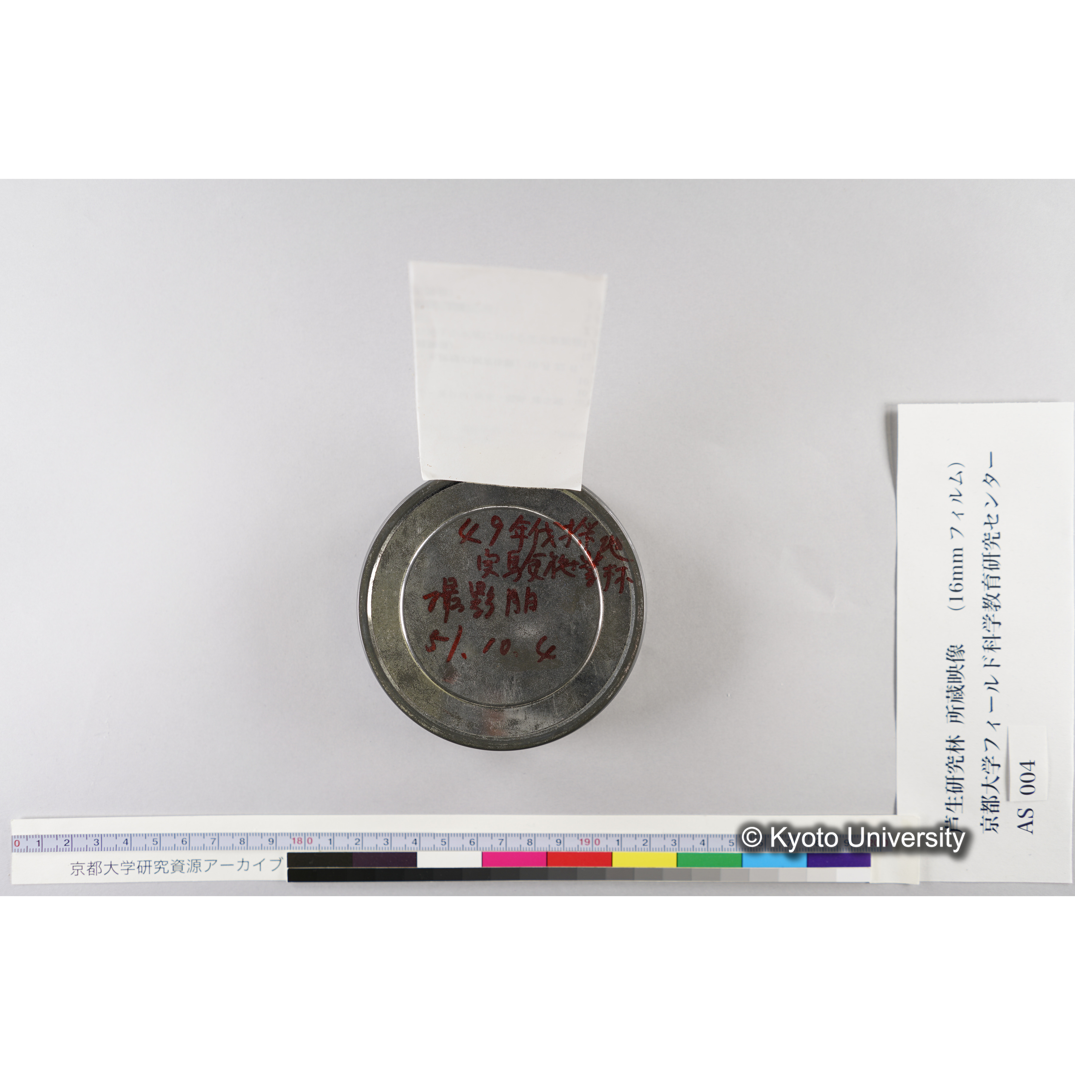 実験施業林49 年伐採跡 (4)