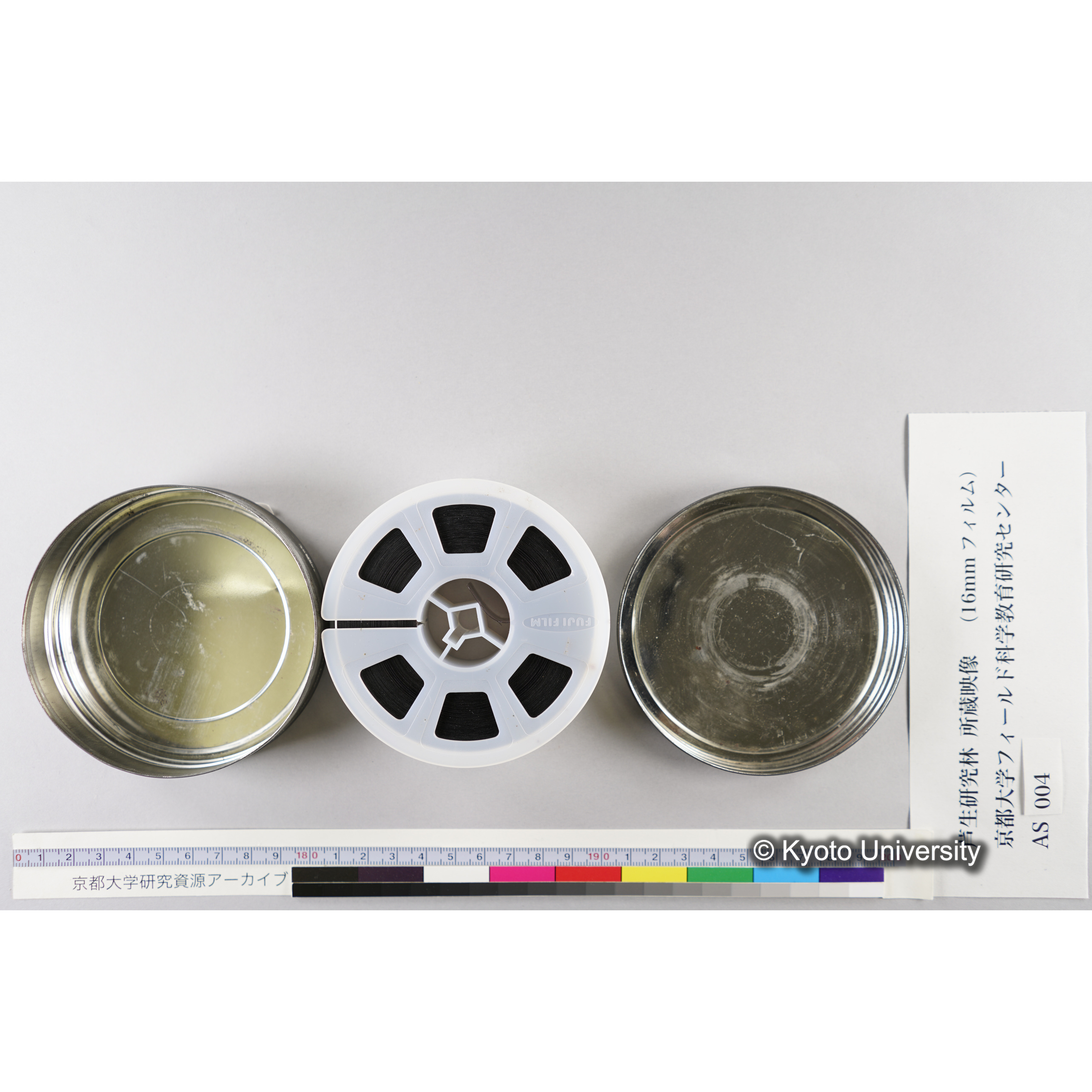 実験施業林49 年伐採跡 (6)