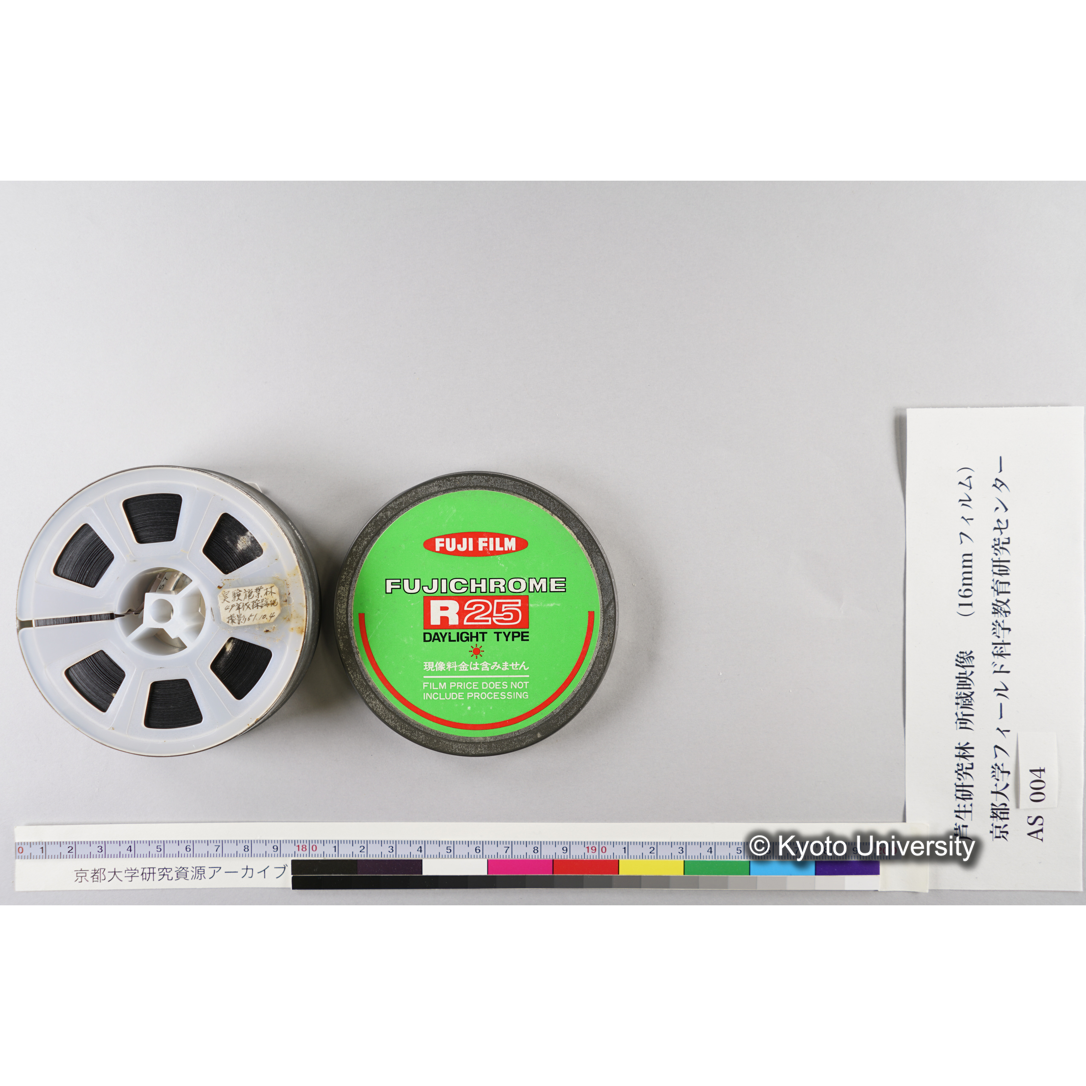 実験施業林49 年伐採跡 (7)