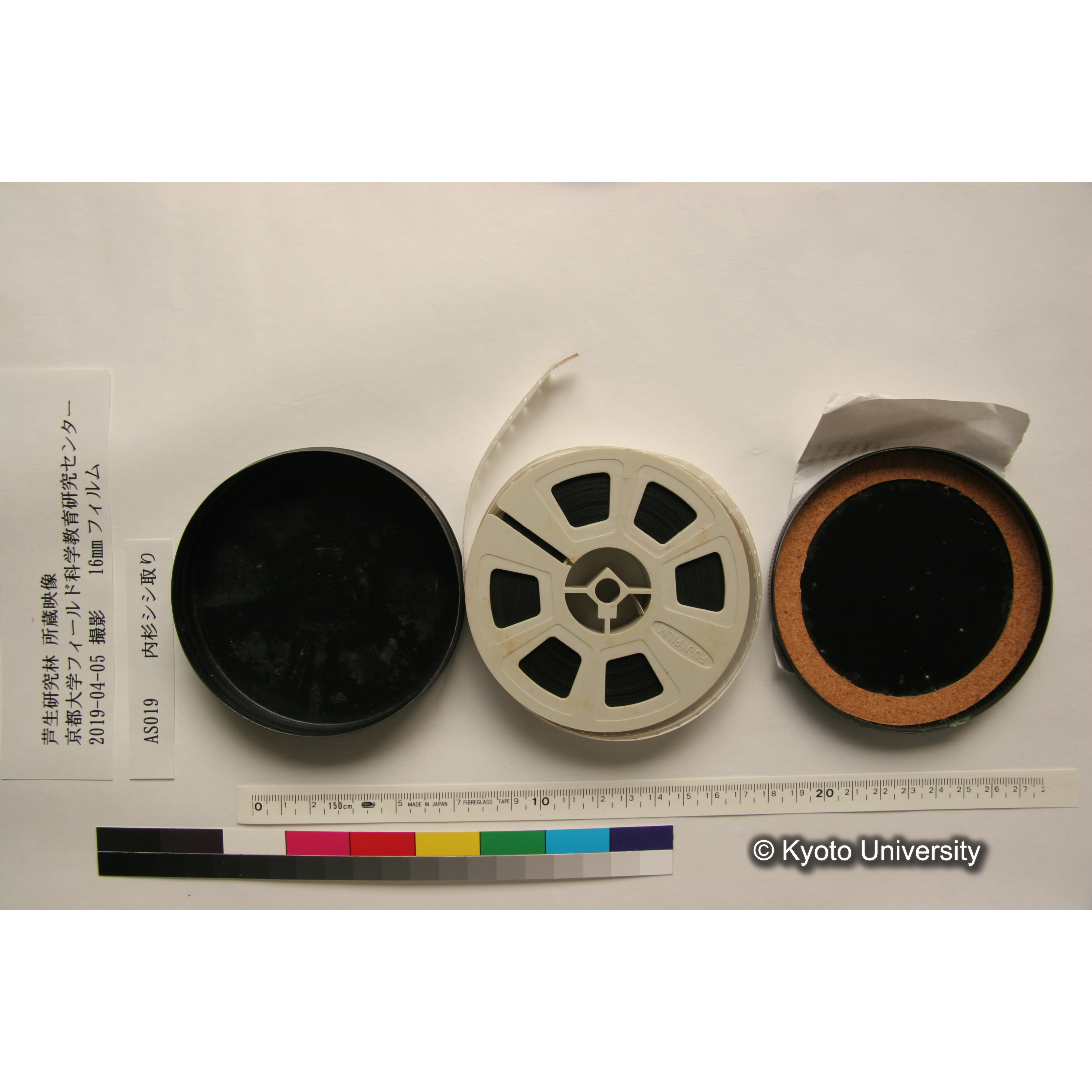 内杉シシ取り (3)