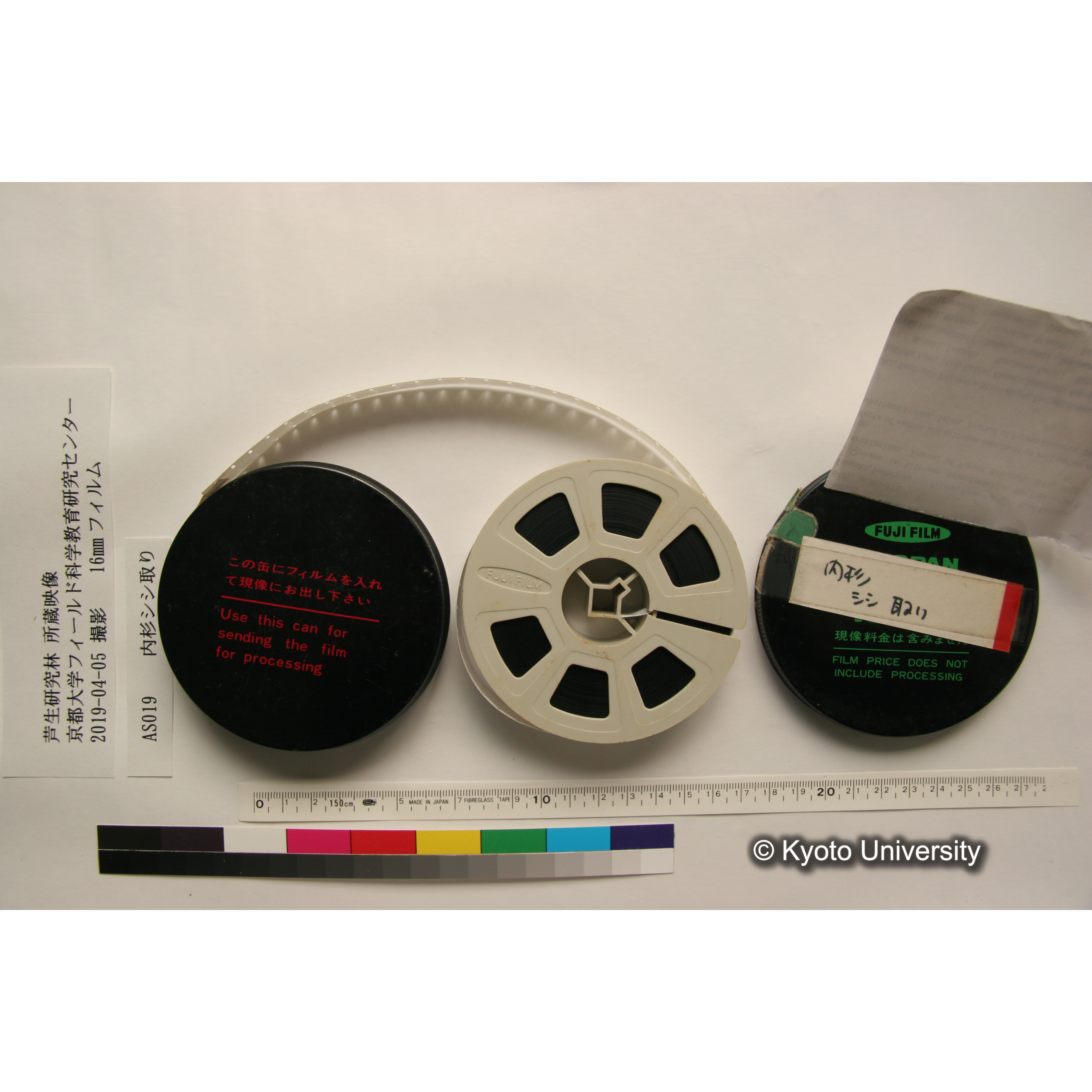 内杉シシ取り (4)