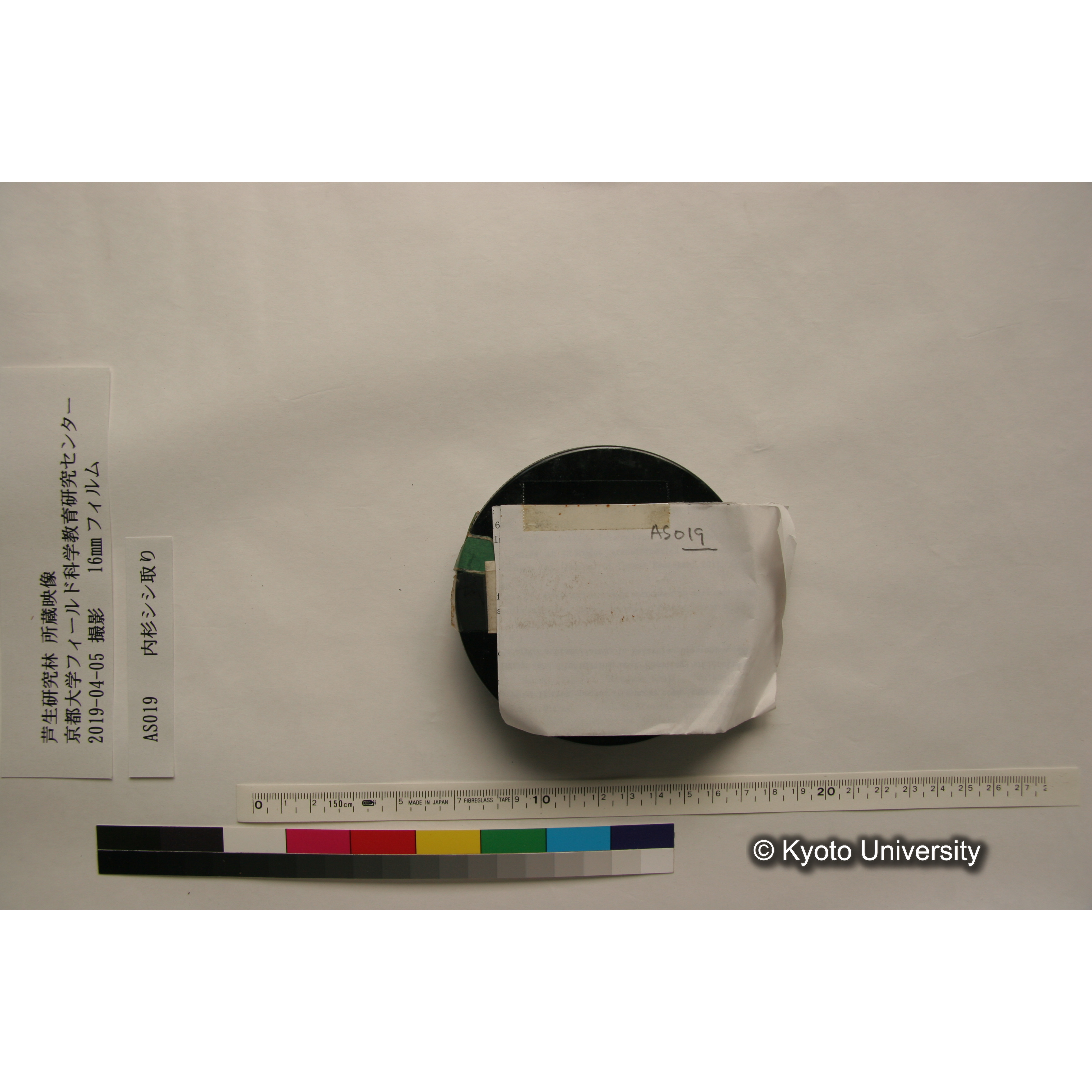 内杉シシ取り (5)