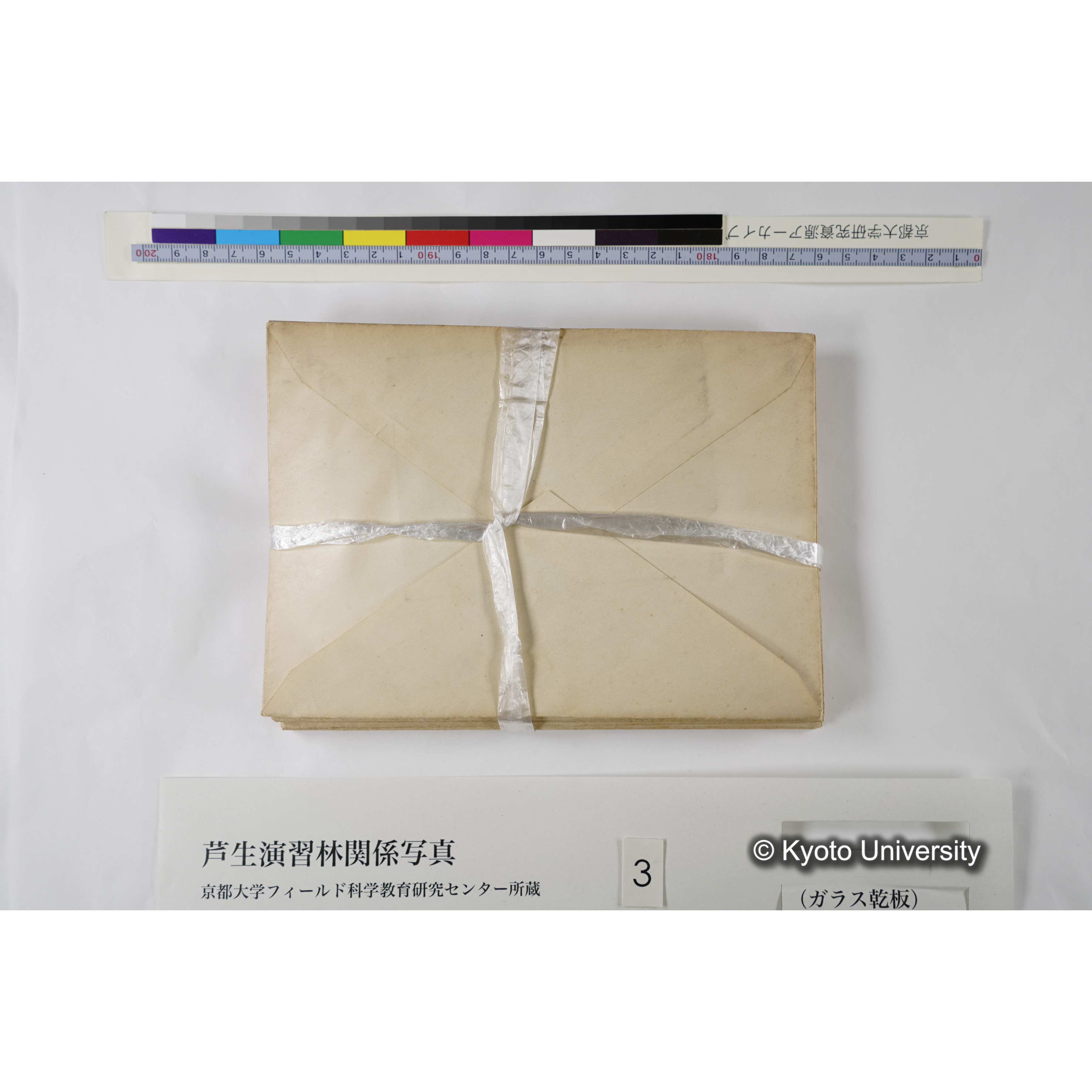 [一括(紐括り)]芦生-柴田1 (1)