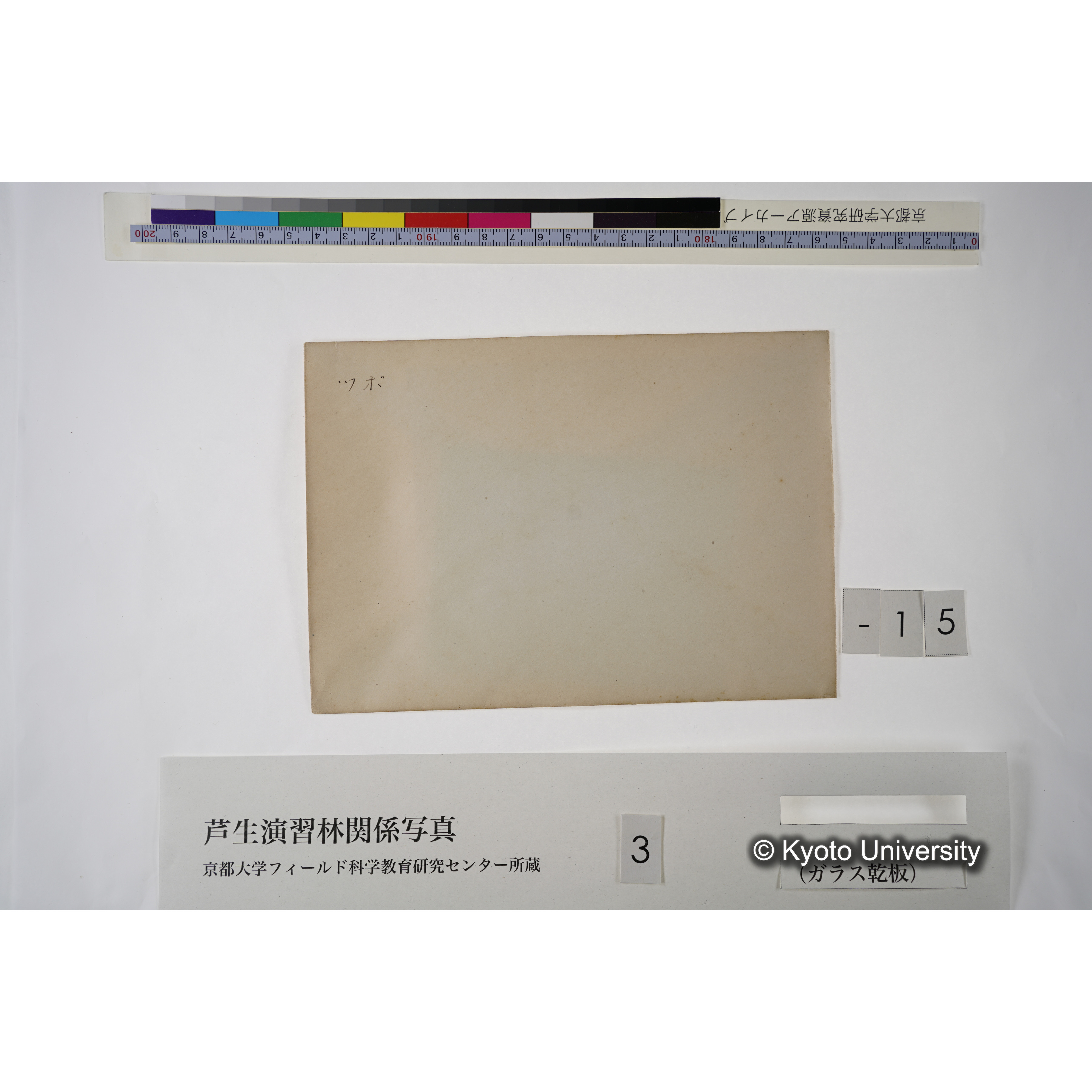 [一括(紐括り)]芦生-柴田1 (3)